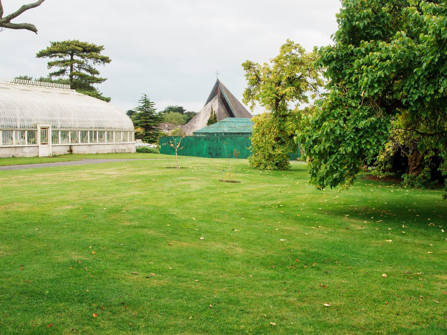 GLASSHOUSES IN THE BOTANIC GARDENS [4 OCTOBER 2024]-242174-1