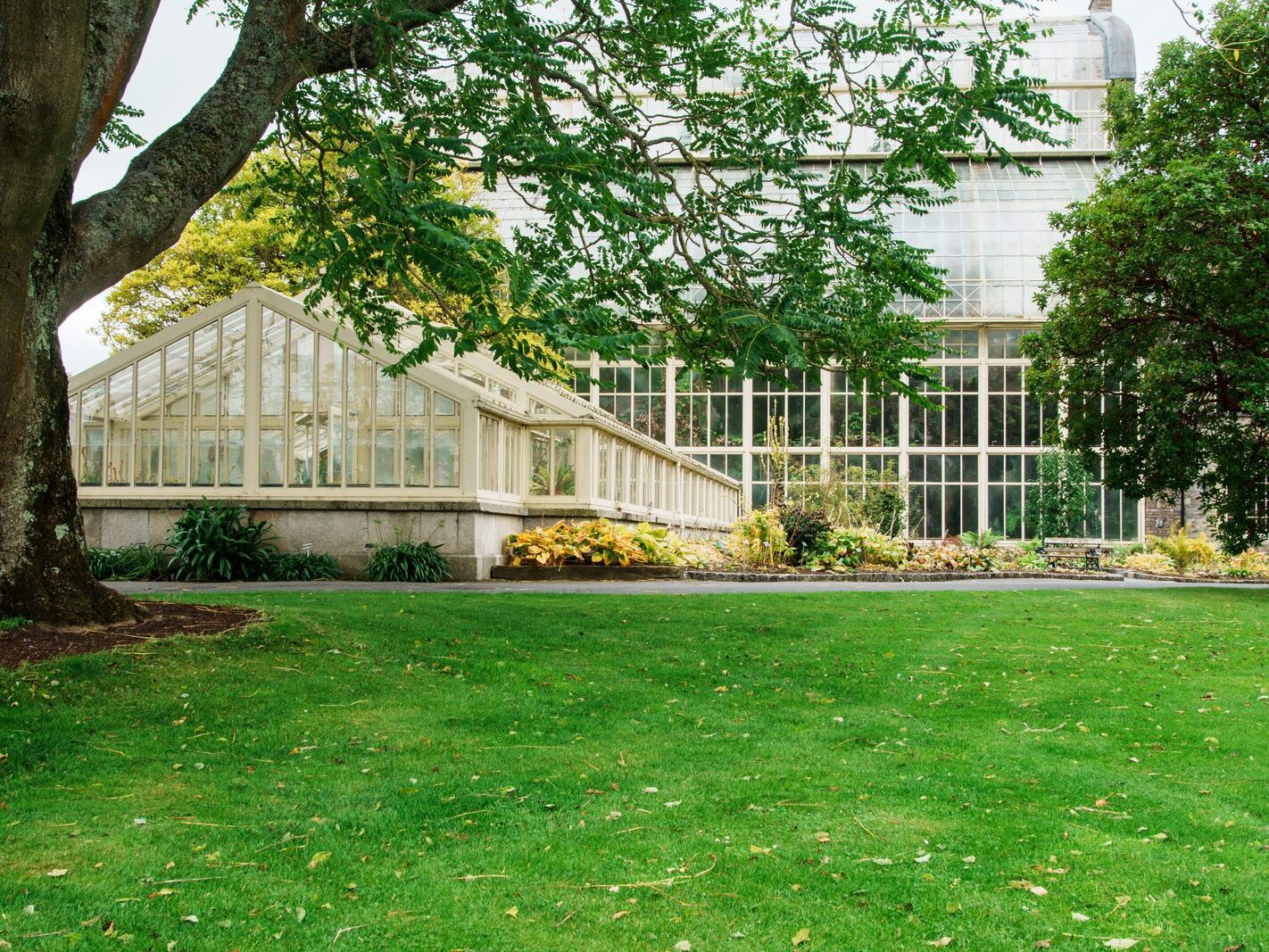 GLASSHOUSES IN THE BOTANIC GARDENS [4 OCTOBER 2024]-242176-1