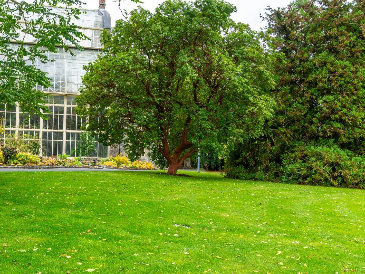 GLASSHOUSES IN THE BOTANIC GARDENS [4 OCTOBER 2024]-242177-1