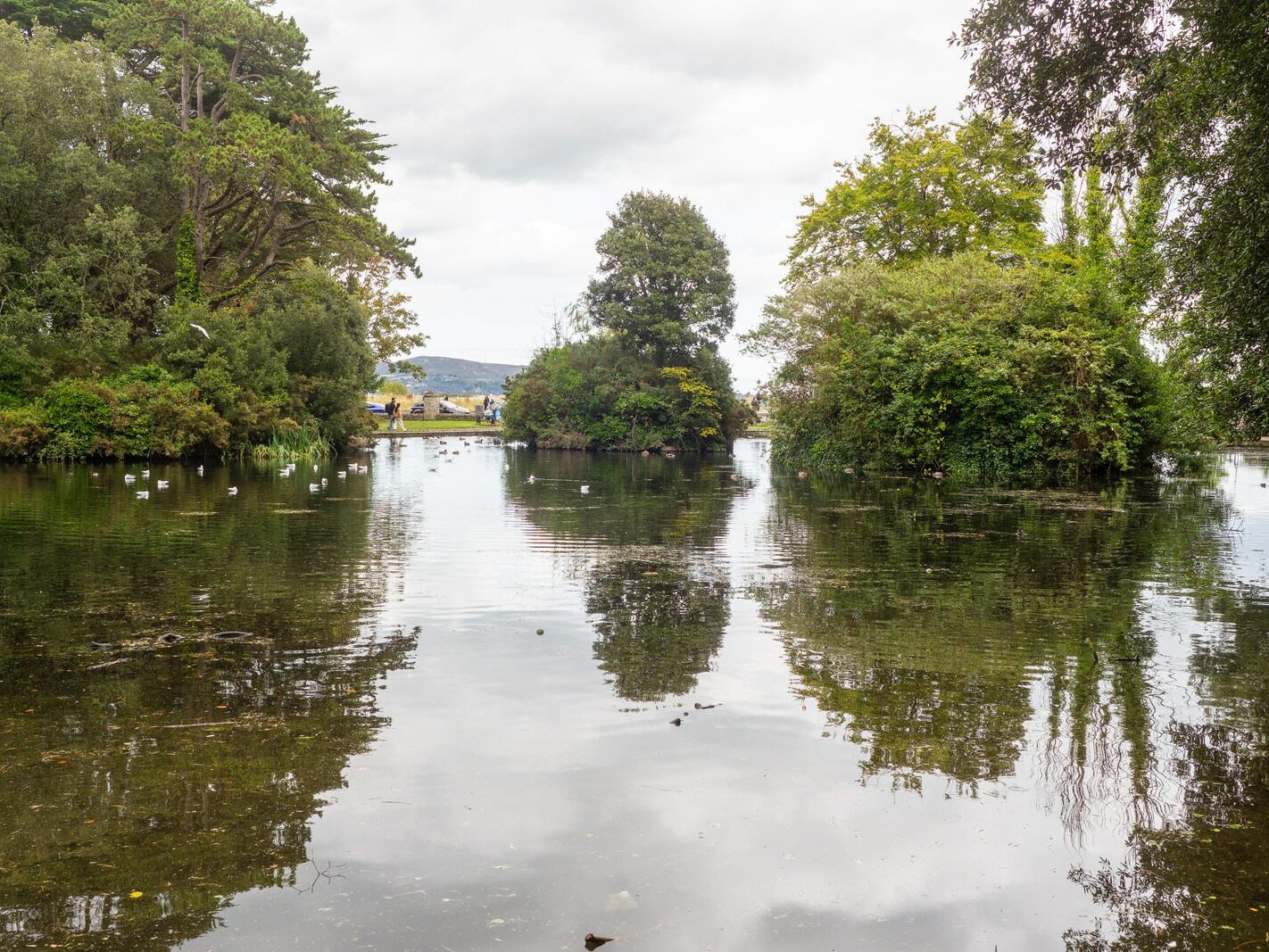 WHEN YOU ARE IN DUBLIN YOU SHOULD VISIT ST ANNE'S PARK [A RANDOM COLLECTION OF IMAGES]-241991-1