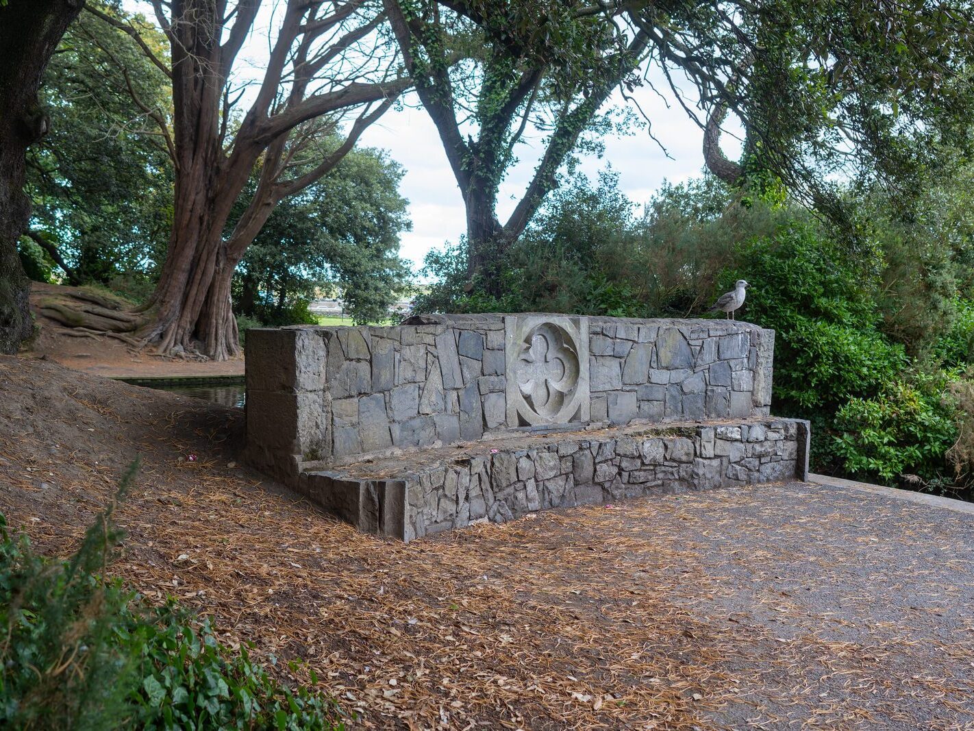 WHEN YOU ARE IN DUBLIN YOU SHOULD VISIT ST ANNE'S PARK [A RANDOM COLLECTION OF IMAGES]-241994-1