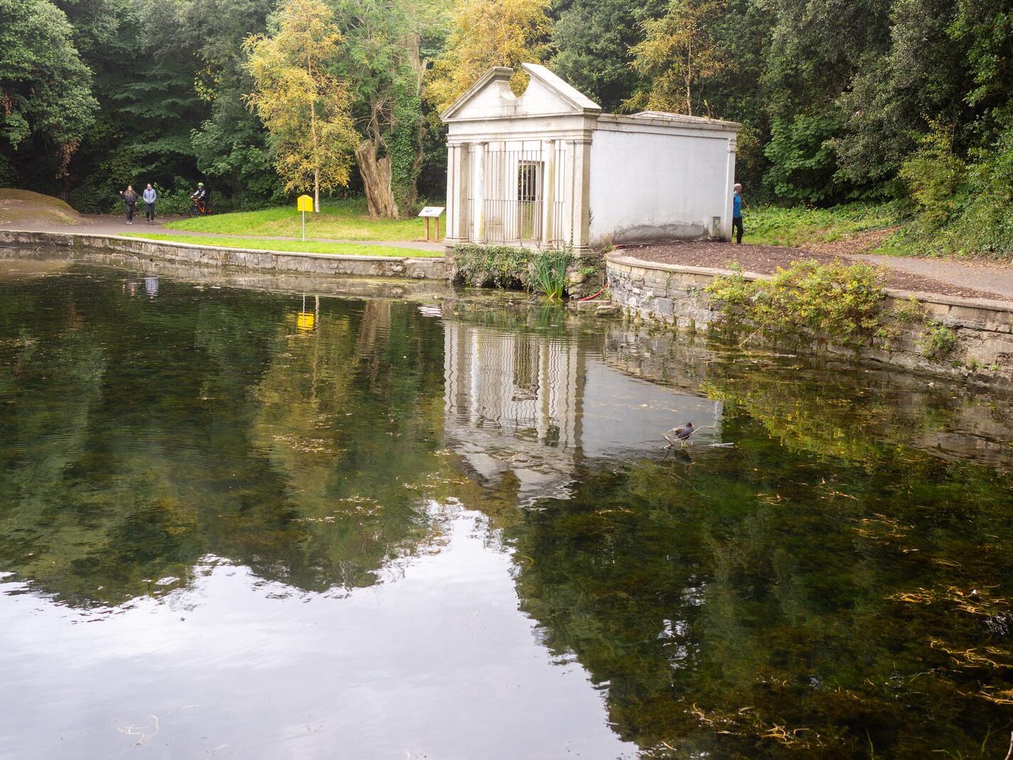 WHEN YOU ARE IN DUBLIN YOU SHOULD VISIT ST ANNE'S PARK [A RANDOM COLLECTION OF IMAGES]-241995-1