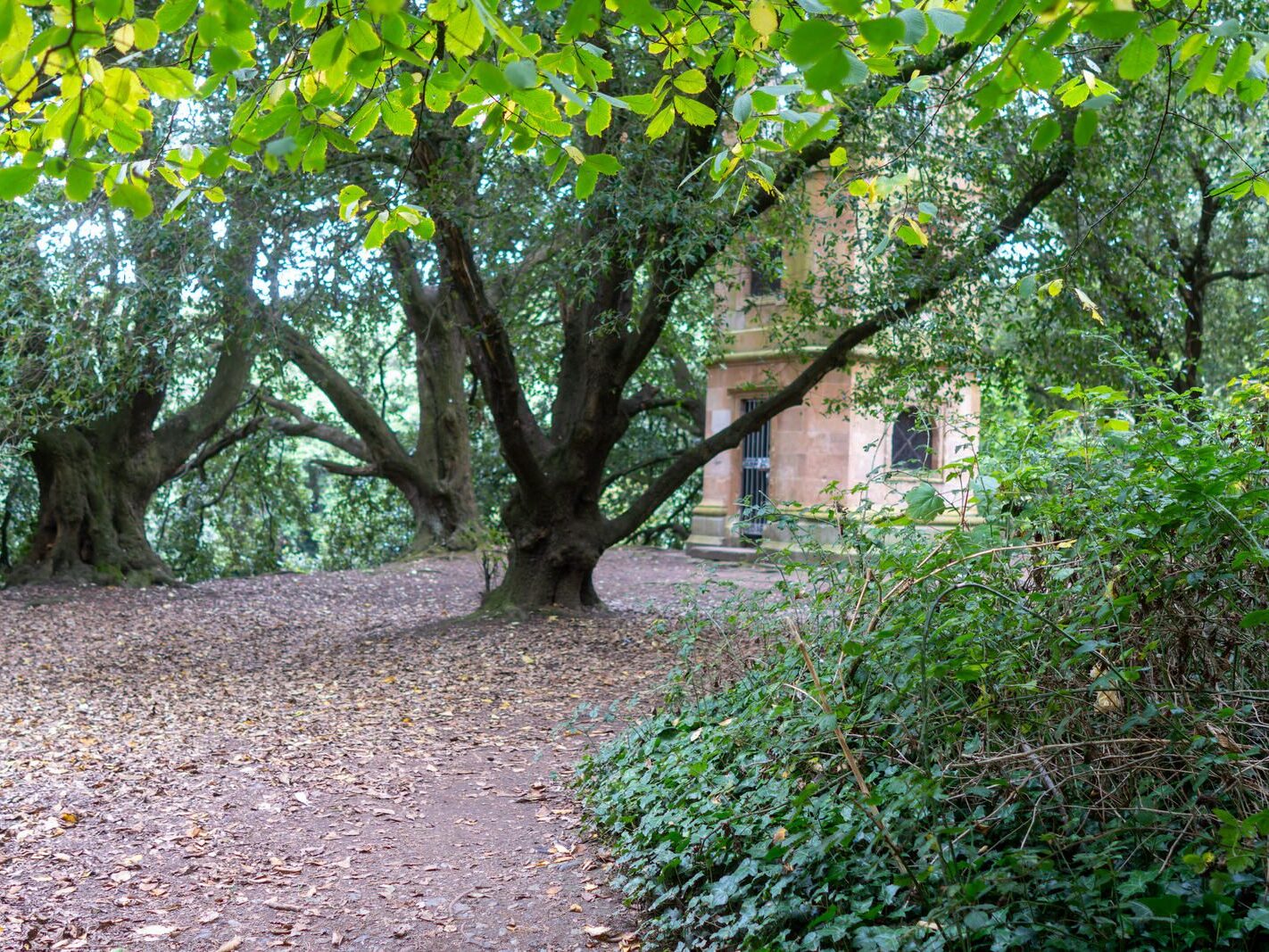 WHEN YOU ARE IN DUBLIN YOU SHOULD VISIT ST ANNE'S PARK [A RANDOM COLLECTION OF IMAGES]-241997-1