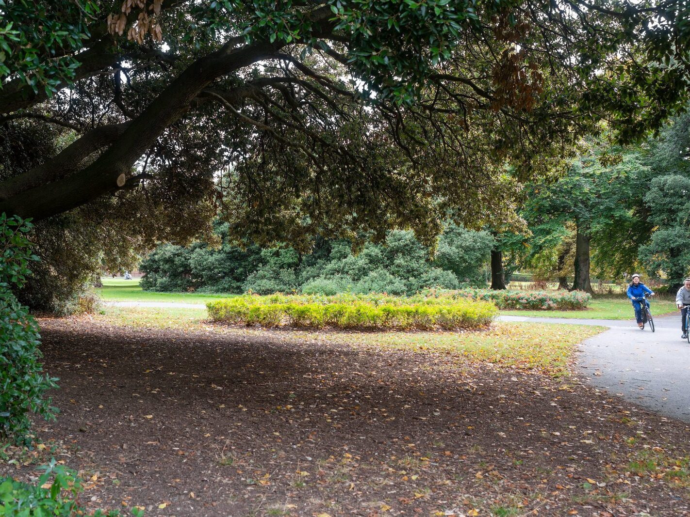 WHEN YOU ARE IN DUBLIN YOU SHOULD VISIT ST ANNE'S PARK [A RANDOM COLLECTION OF IMAGES]-242002-1