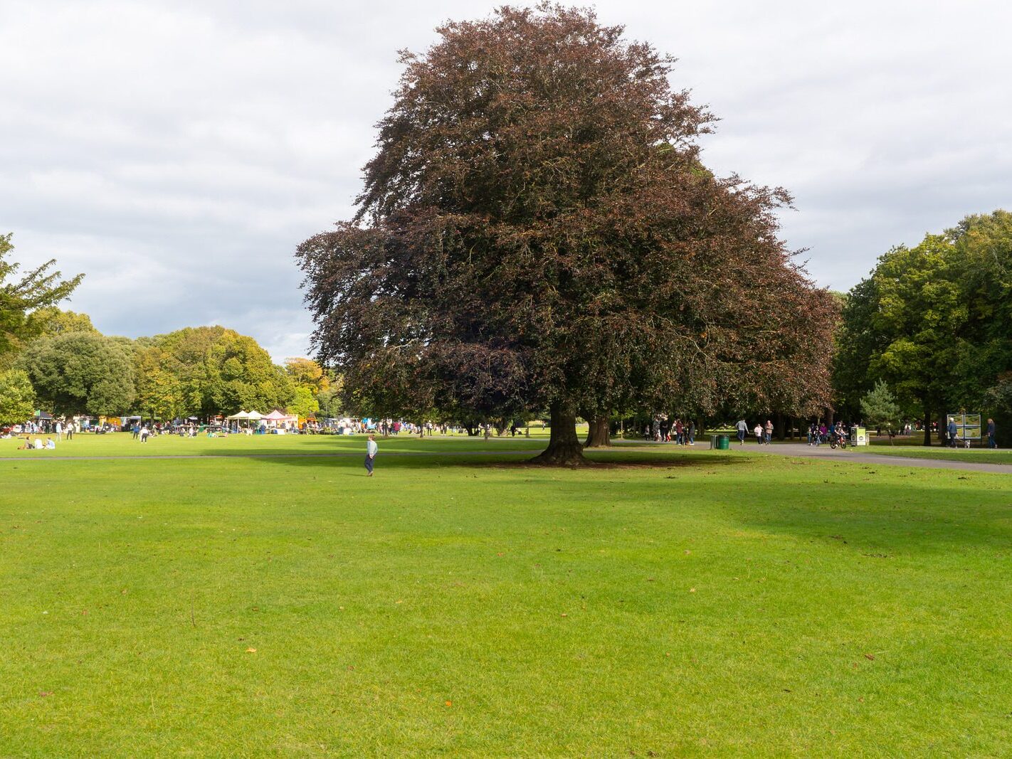 WHEN YOU ARE IN DUBLIN YOU SHOULD VISIT ST ANNE'S PARK [A RANDOM COLLECTION OF IMAGES]-242018-1