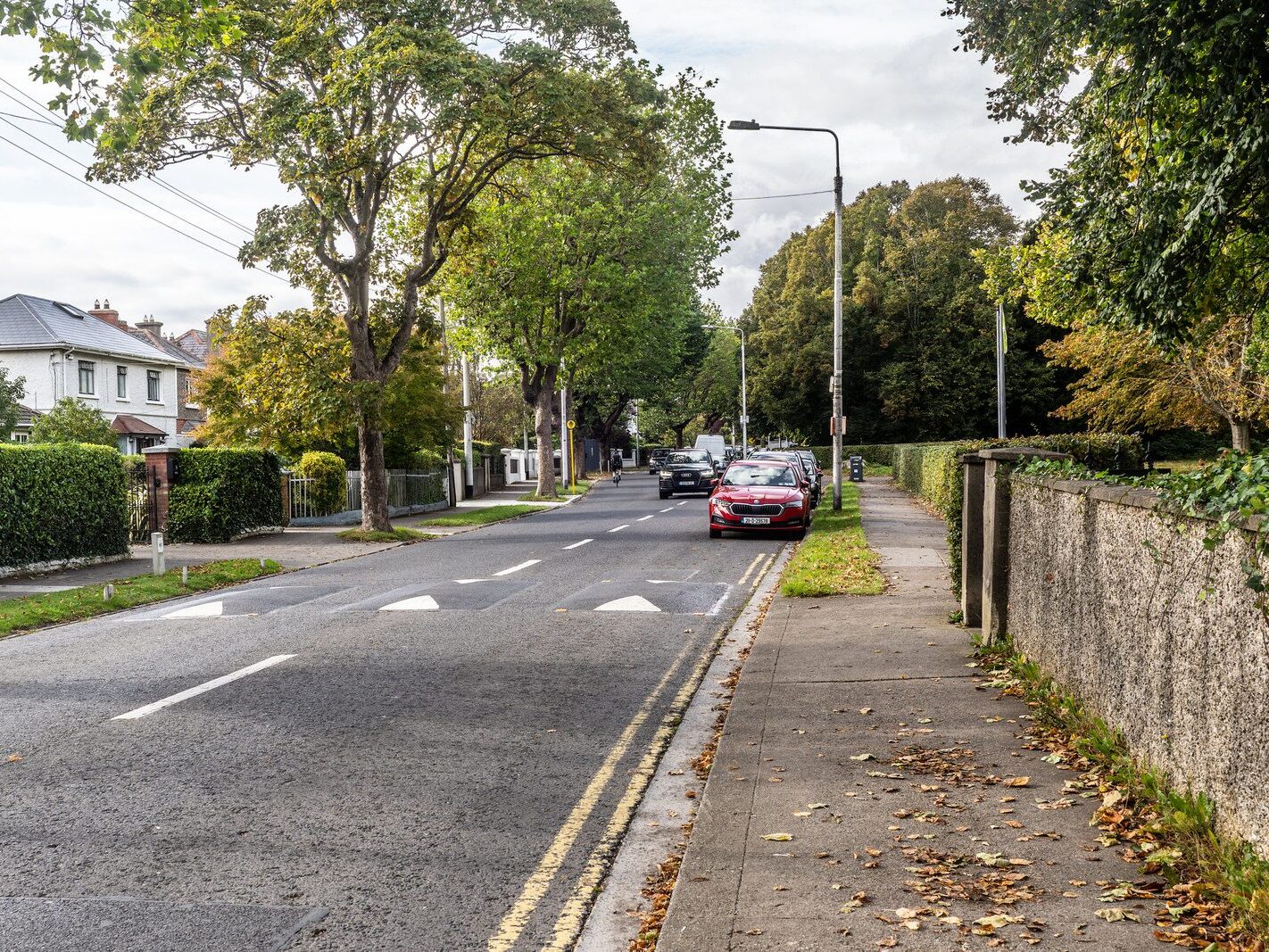 WHEN YOU ARE IN DUBLIN YOU SHOULD VISIT ST ANNE'S PARK [A RANDOM COLLECTION OF IMAGES]-242025-1