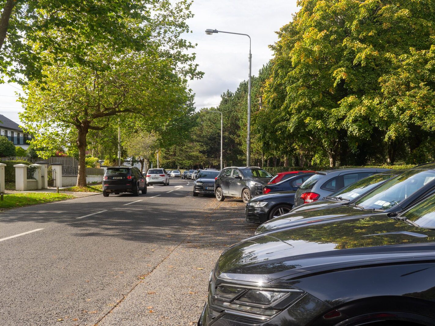 WHEN YOU ARE IN DUBLIN YOU SHOULD VISIT ST ANNE'S PARK [A RANDOM COLLECTION OF IMAGES]-242029-1