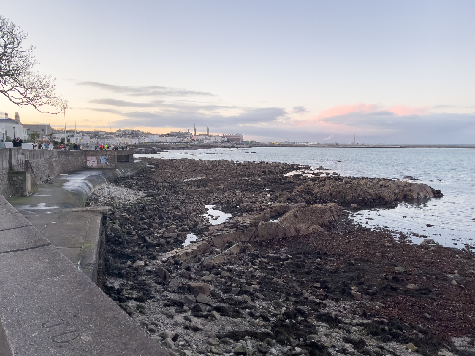 EXPLORING SANDYCOVE AVENUE AND NEARBY [1 JANUARY 2025]-246132-1