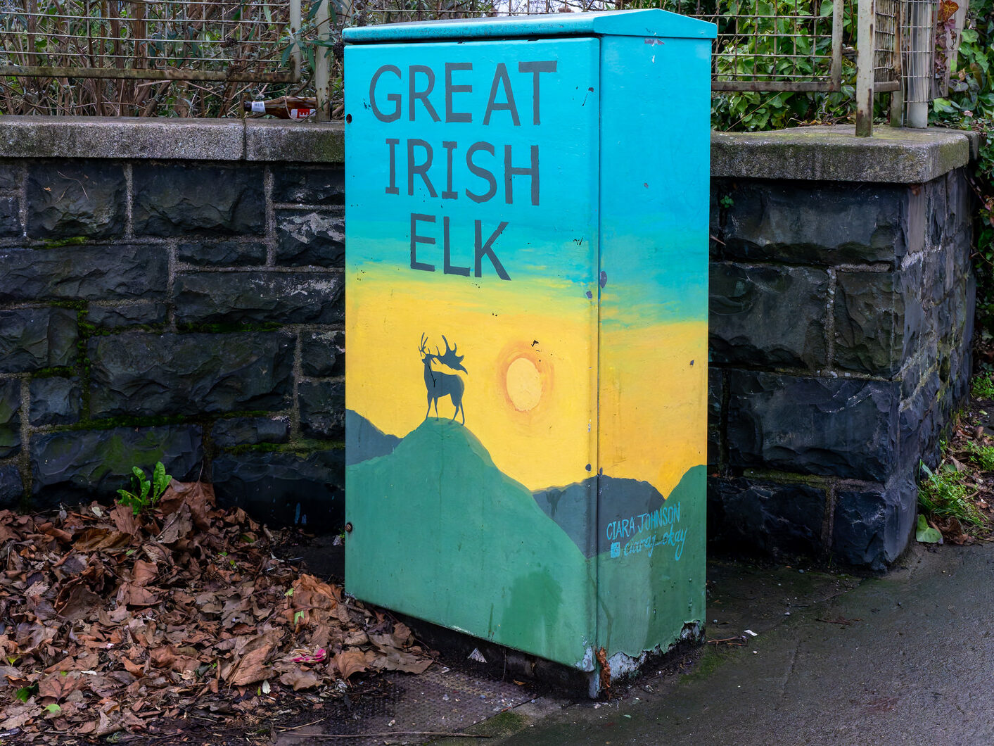 THE GREAT IRISH ELK BY CIARA JOHNSON [PAINT-A-BOX STREET ART ON CON COLBERT ROAD]-246614-1