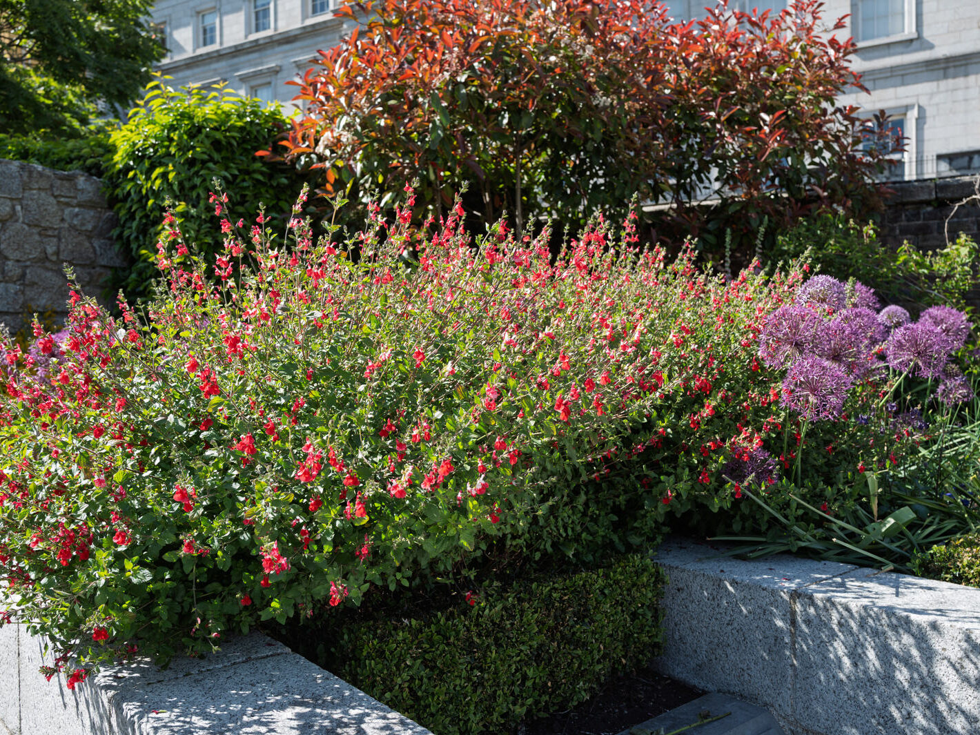 THE GARDA MEMORIAL GARDEN [LOCATED WITHIN THE DUBHLINN GARDENS AT DUBLIN CASTLE]-251261-1