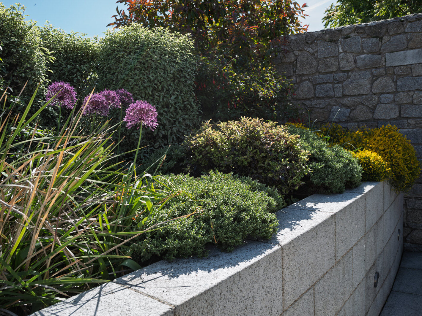 THE GARDA MEMORIAL GARDEN [LOCATED WITHIN THE DUBHLINN GARDENS AT DUBLIN CASTLE]-251262-1