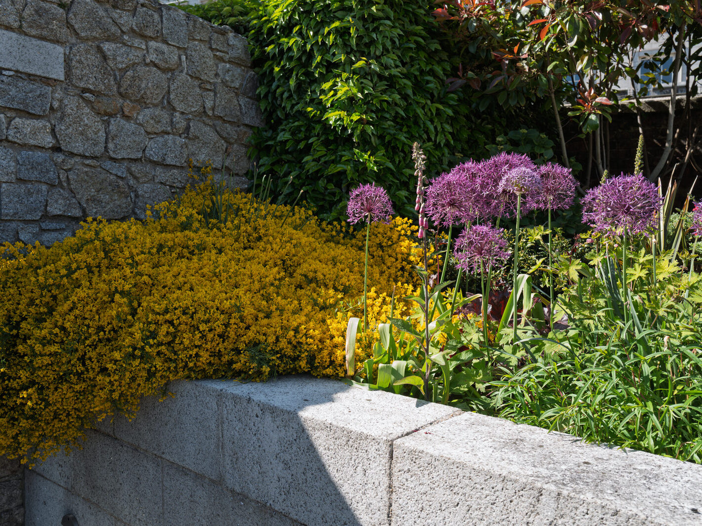 THE GARDA MEMORIAL GARDEN [LOCATED WITHIN THE DUBHLINN GARDENS AT DUBLIN CASTLE]-251263-1