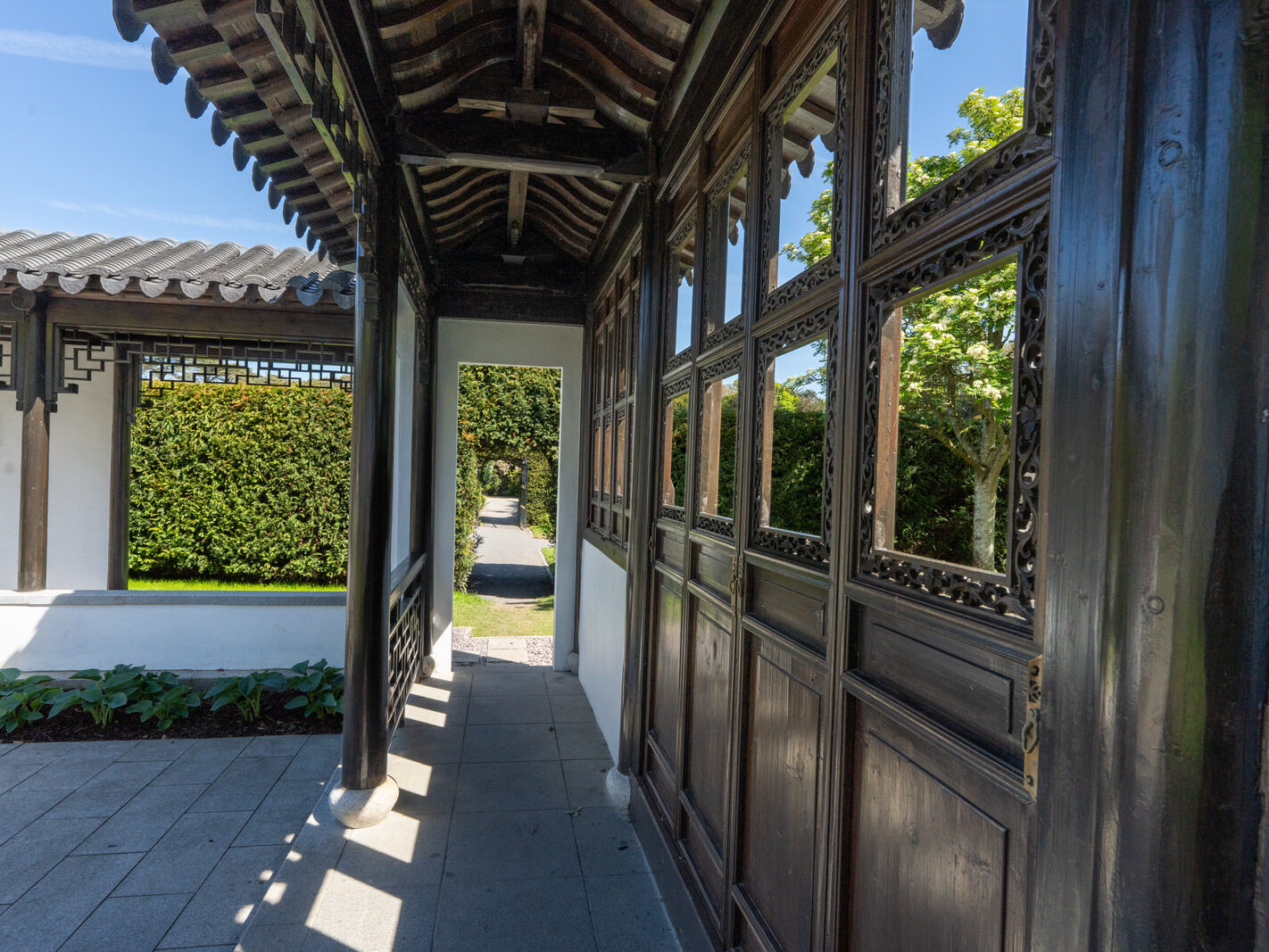THE IRISH SUZHOU GARDEN IN ST ANNE'S PARK [HAS BEEN RESTORED]-250603-1