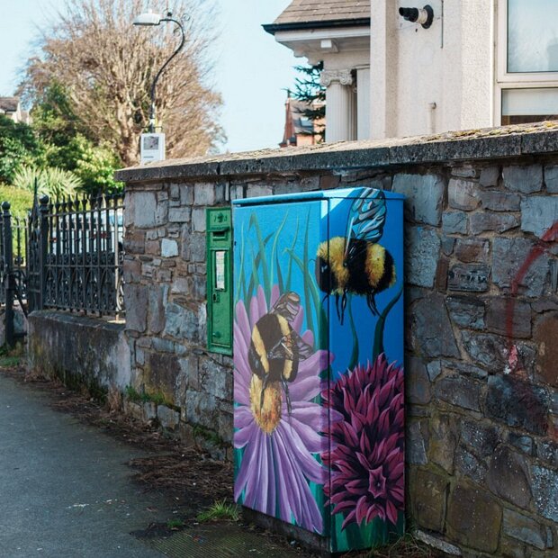 EXAMPLES OF STREET ART Dublin has a thriving street art scene that has evolved significantly in recent years. Once considered a form of...