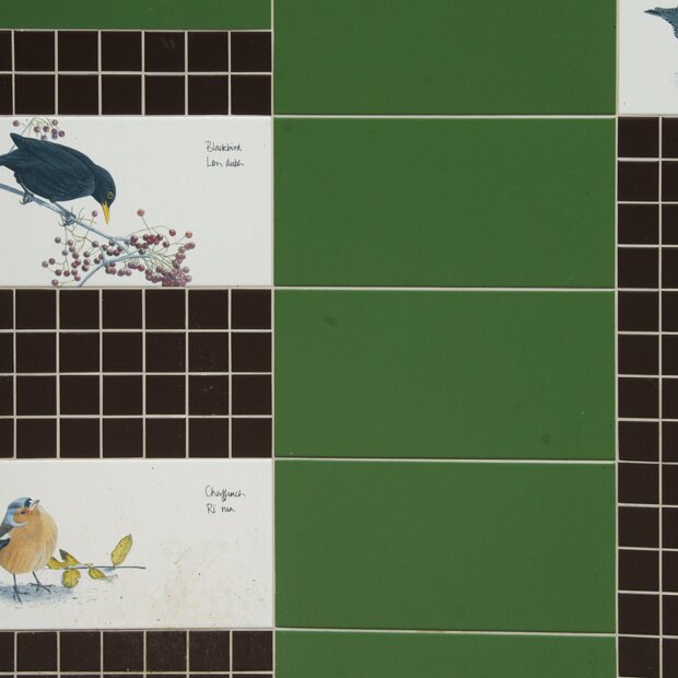 IRISH BIRDS Killian Mullarney is a highly acclaimed Irish ornithologist, bird artist, and bird tour leader. He is considered one of...