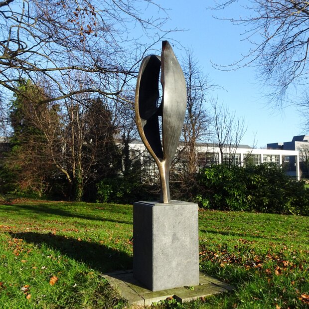 UCD CAMPUS THERE IS MUCH TO SEE