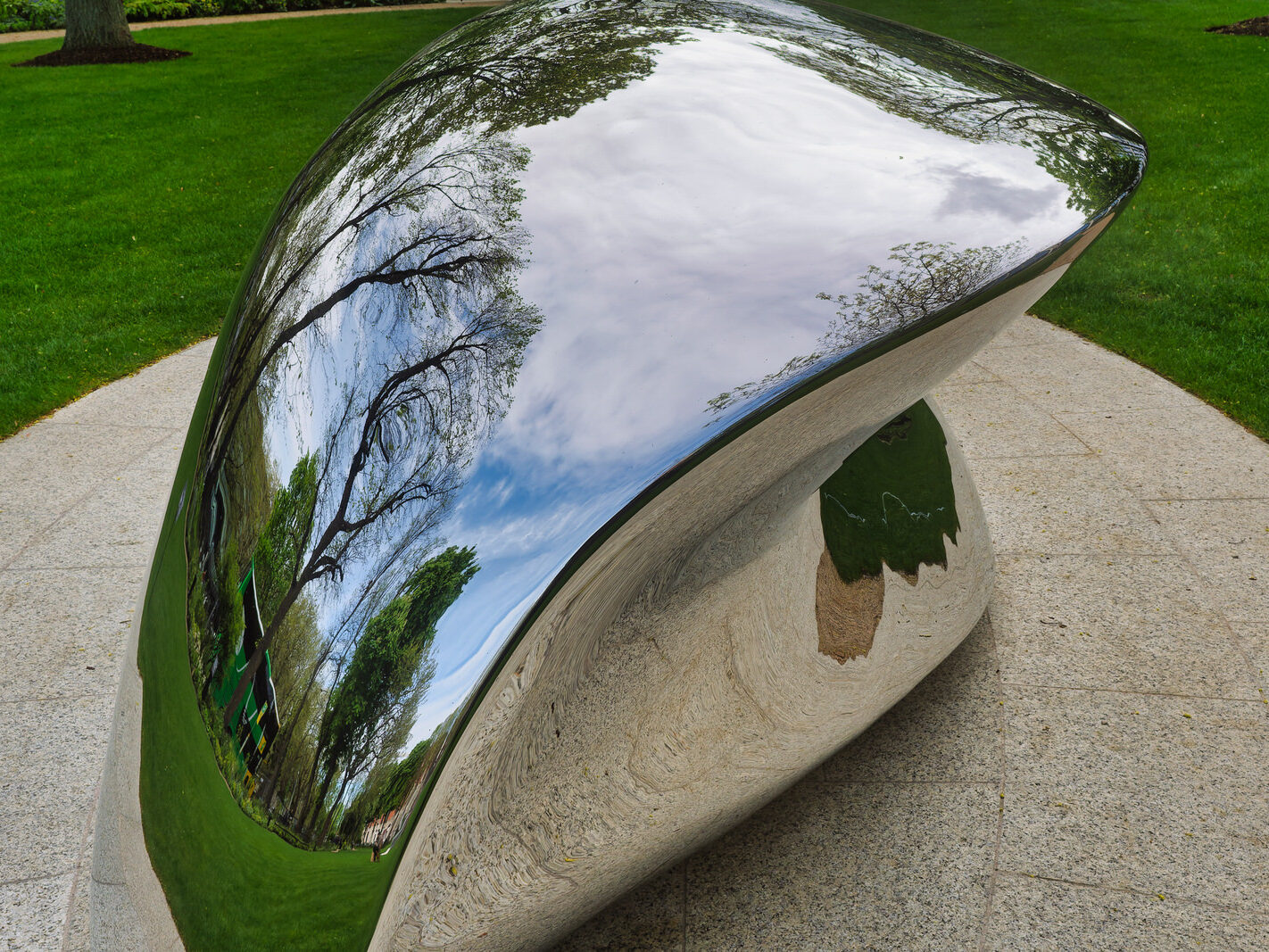 DIPPING THE OTHER WING 2024 BY EILIS O'CONNELL R.H.A. [I USED A ZEISS BATIS 25MM LENS]-249933-1