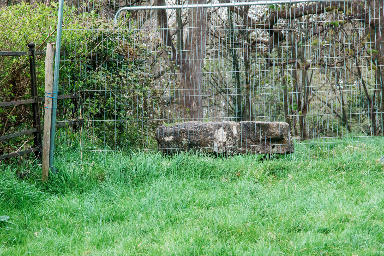 Knockmary Dolmen