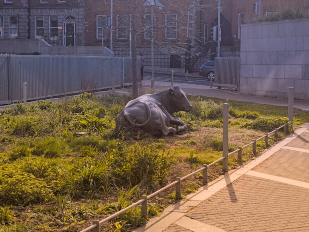 BY JACKIE McKENNA Jackie McKenna's 'Ag Crú na Gréine “Enjoying the Sun”' (2003) is a life-size bronze sculpture of a reclining cow....