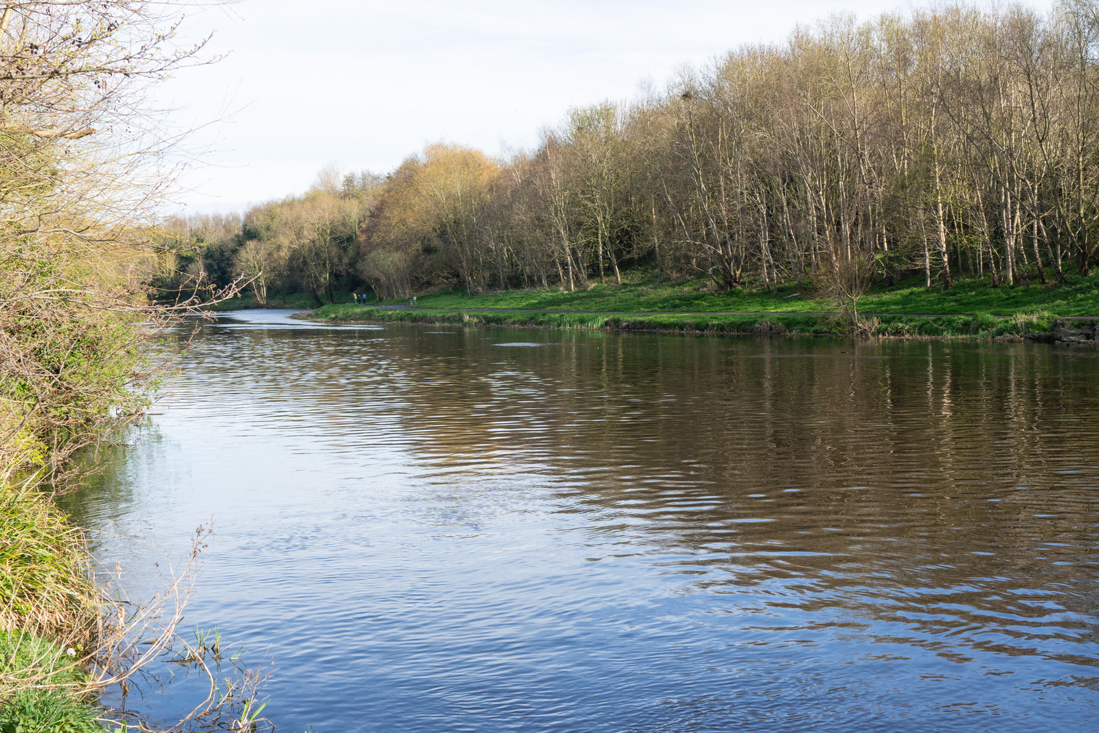 CHAPELIZOD PARK