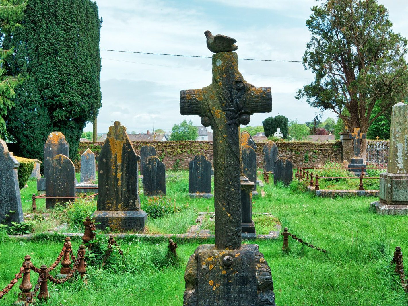 ST LUKE'S CHURCH OF IRELAND GRAVEYARD IN DOUGLAS COUNTY CORK [EXAMPLES OF BIRD CARVINGS] 005