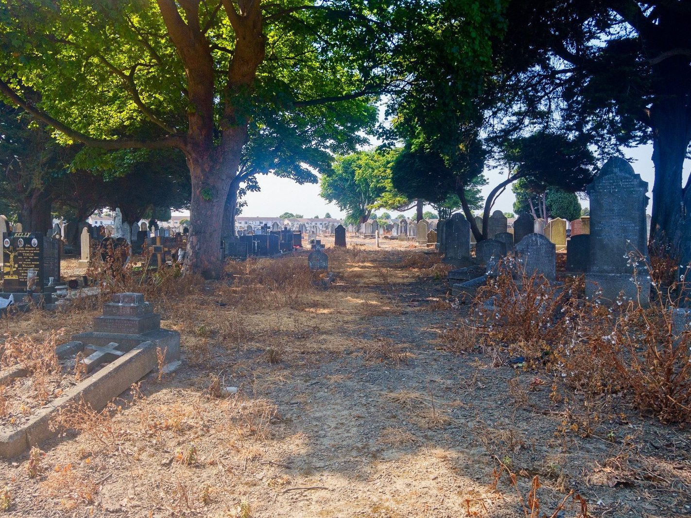 A QUICK OVERVIEW OF AN OLD VICTORIAN CEMETERY [MOUNT JEROME IN HAROLD'S CROSS] 002