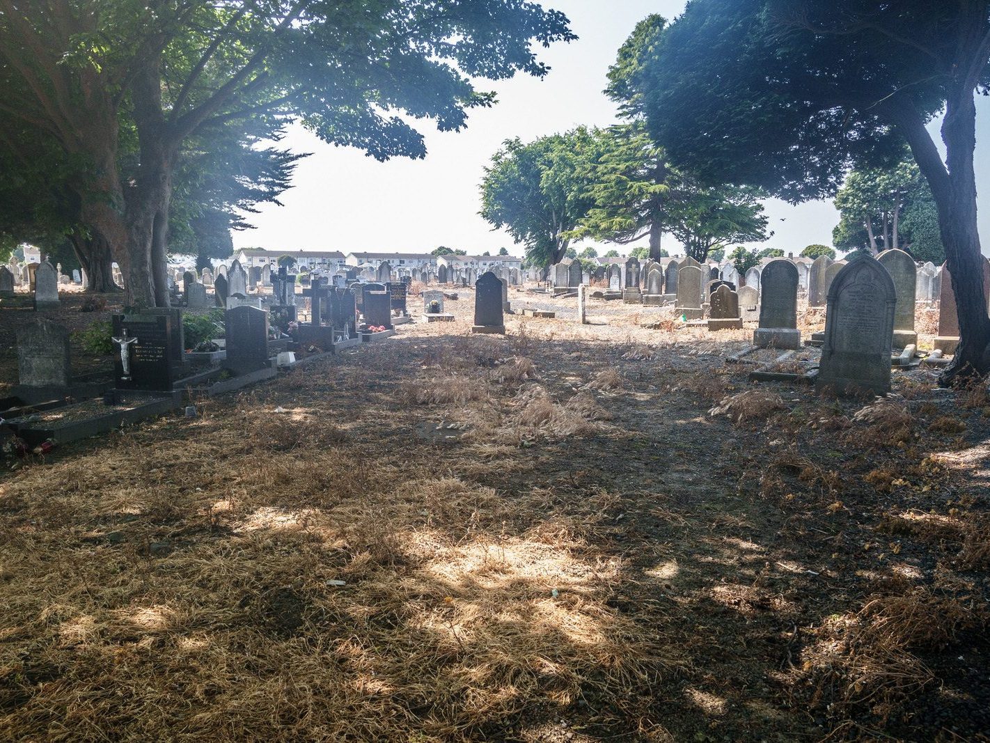 A QUICK OVERVIEW OF AN OLD VICTORIAN CEMETERY [MOUNT JEROME IN HAROLD'S CROSS] 001