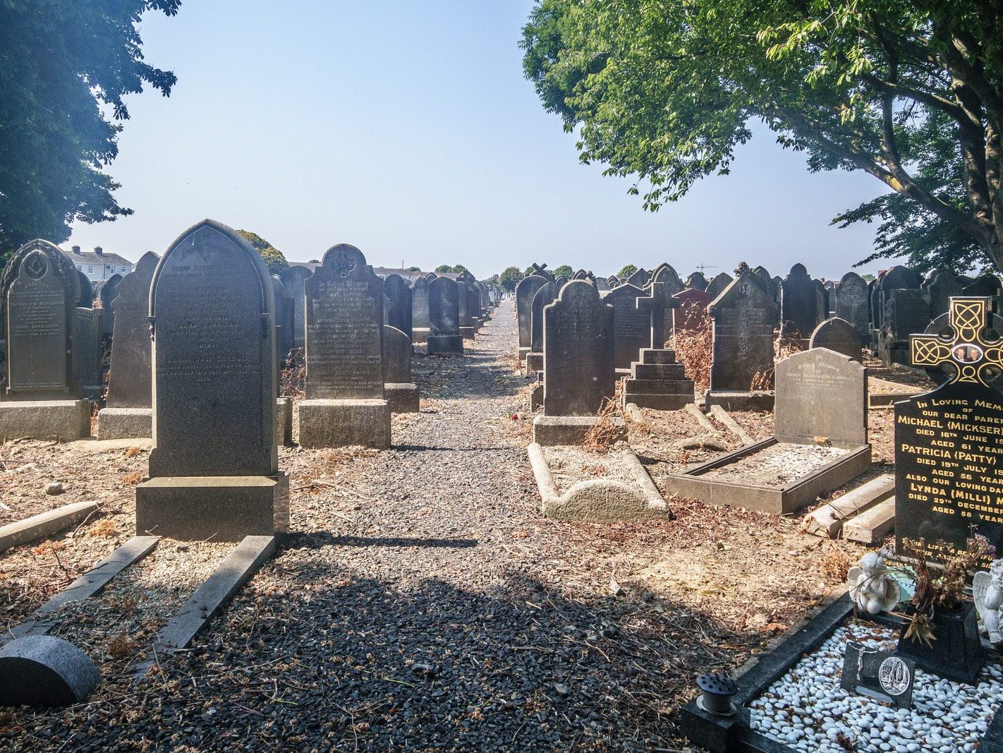 A QUICK OVERVIEW OF AN OLD VICTORIAN CEMETERY [MOUNT JEROME IN HAROLD'S CROSS] 015