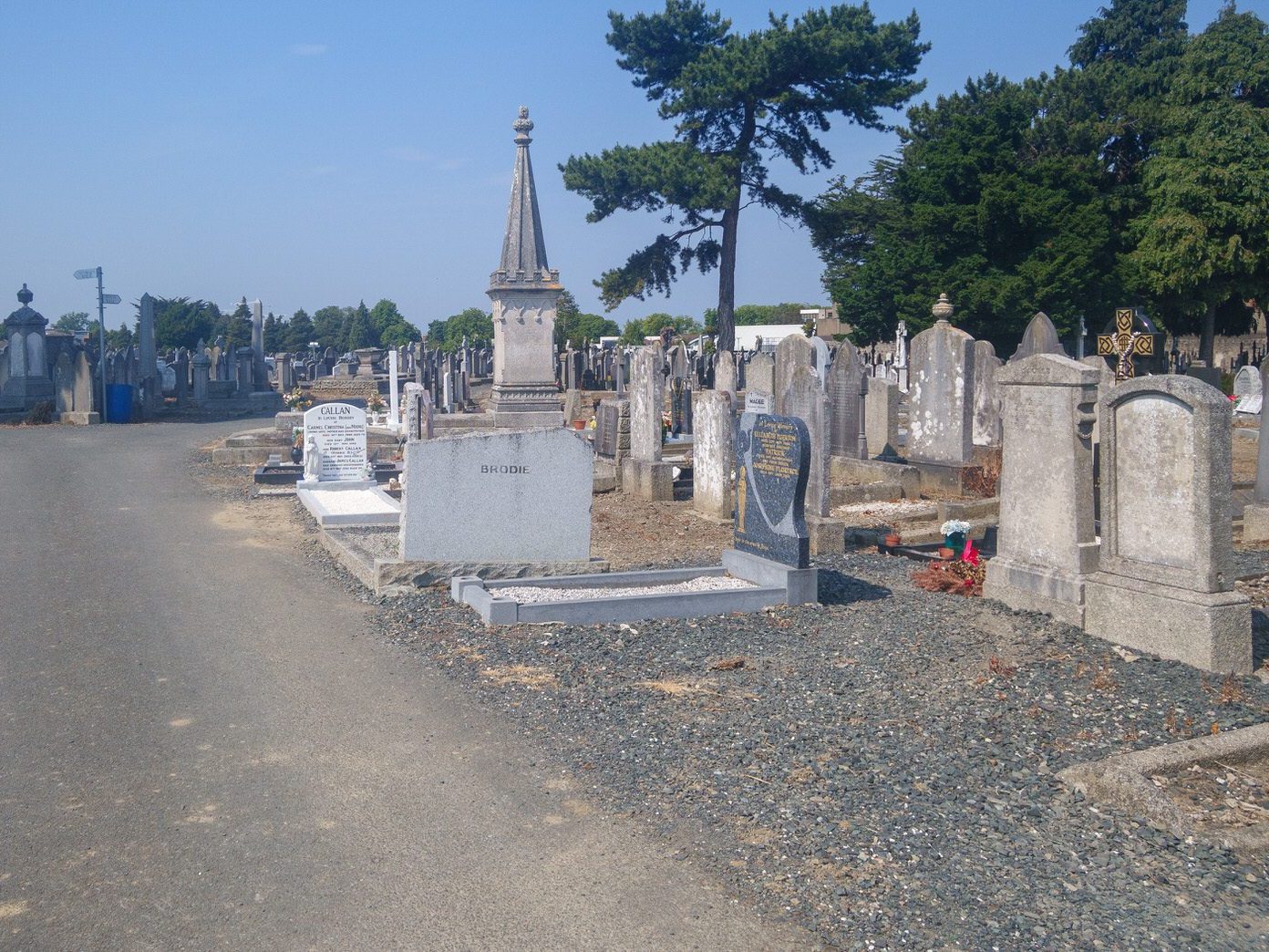 A QUICK OVERVIEW OF AN OLD VICTORIAN CEMETERY [MOUNT JEROME IN HAROLD'S CROSS] 038
