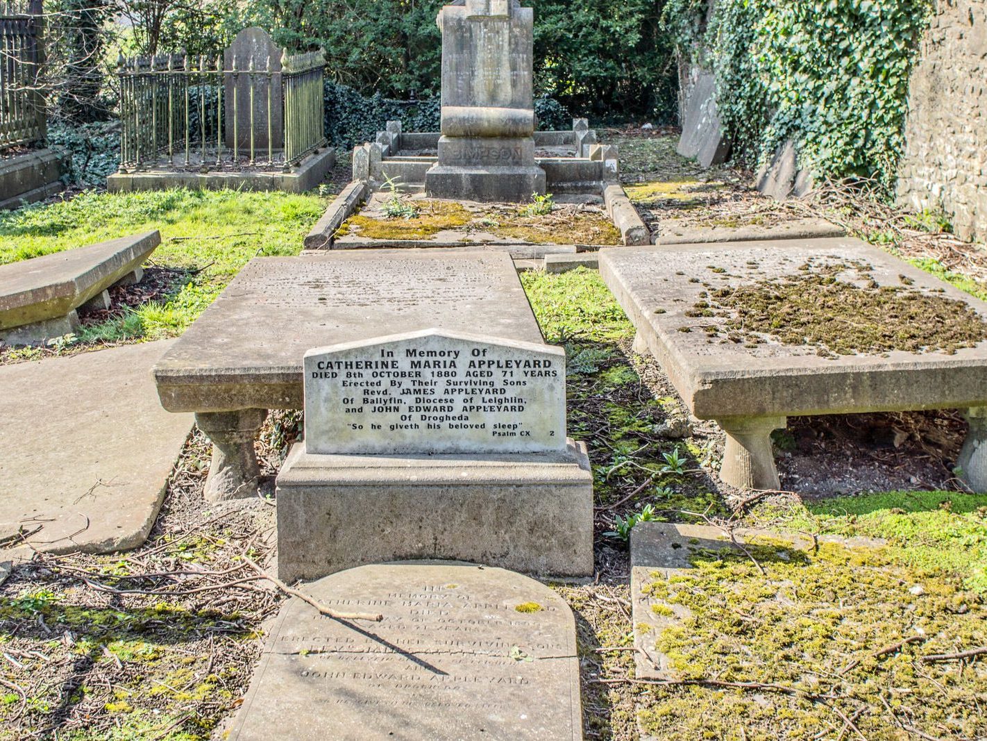 SOME OLD IMAGES OF ST PETERS CHURCHYARD IN DROGHEDA [PHOTOGRAPHED 20212]-224222-1