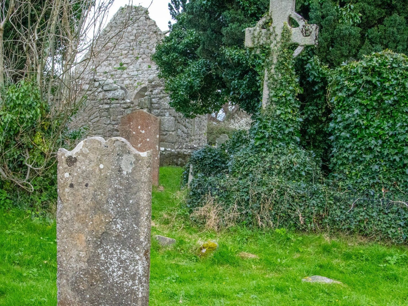 TWO CROSSES AND TULLY CHURCH AT LAUGHANSOWN LANE [THE CHURCH AND GRAVES]-223567-1