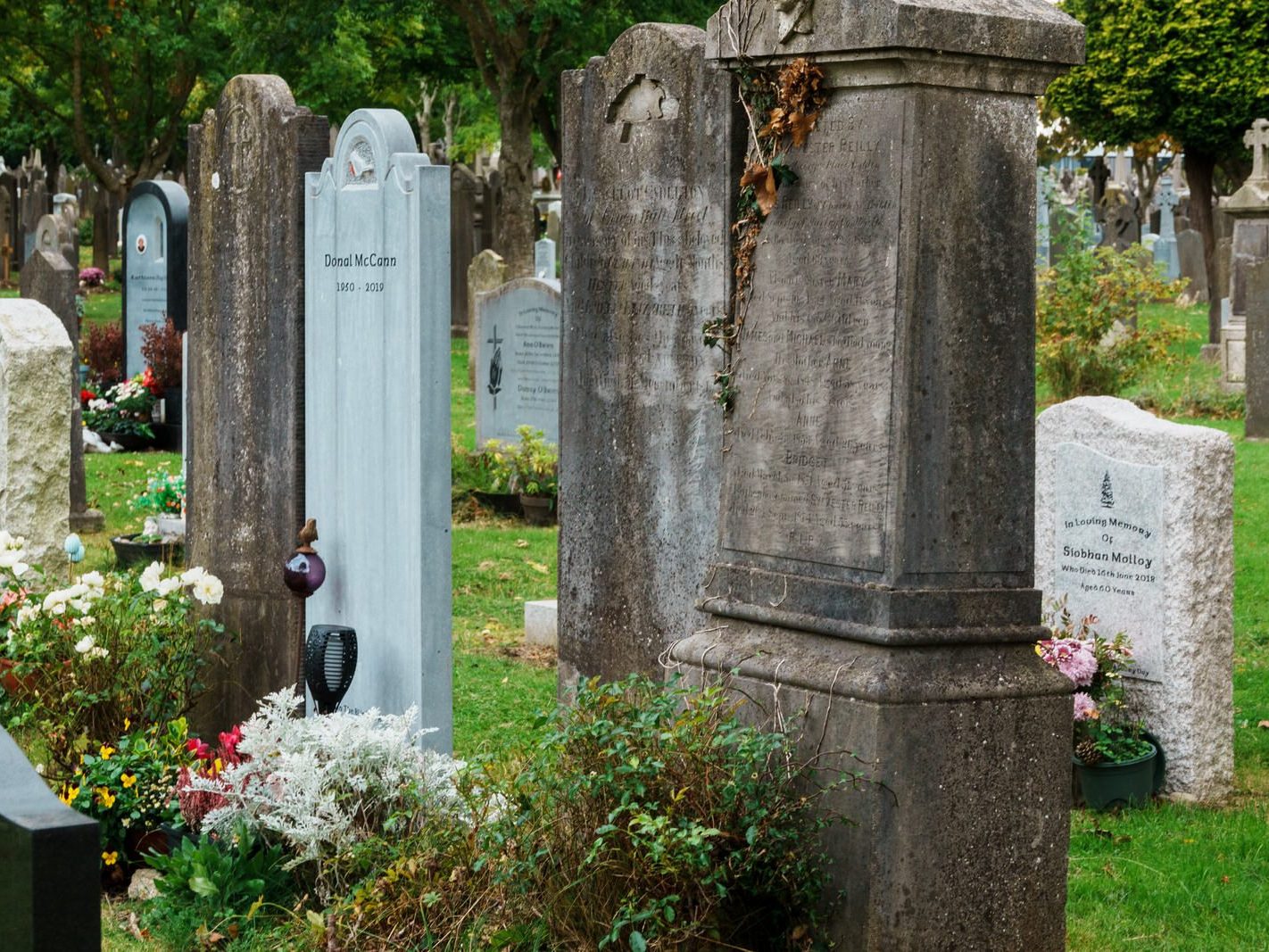 GLASNEVIN CEMETERY OCTOBER 2024 [THE GARDEN SECTION AND NEARBY]-242046-1