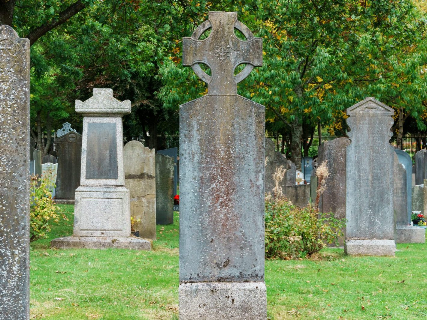 GLASNEVIN CEMETERY OCTOBER 2024 [THE GARDEN SECTION AND NEARBY]-242049-1