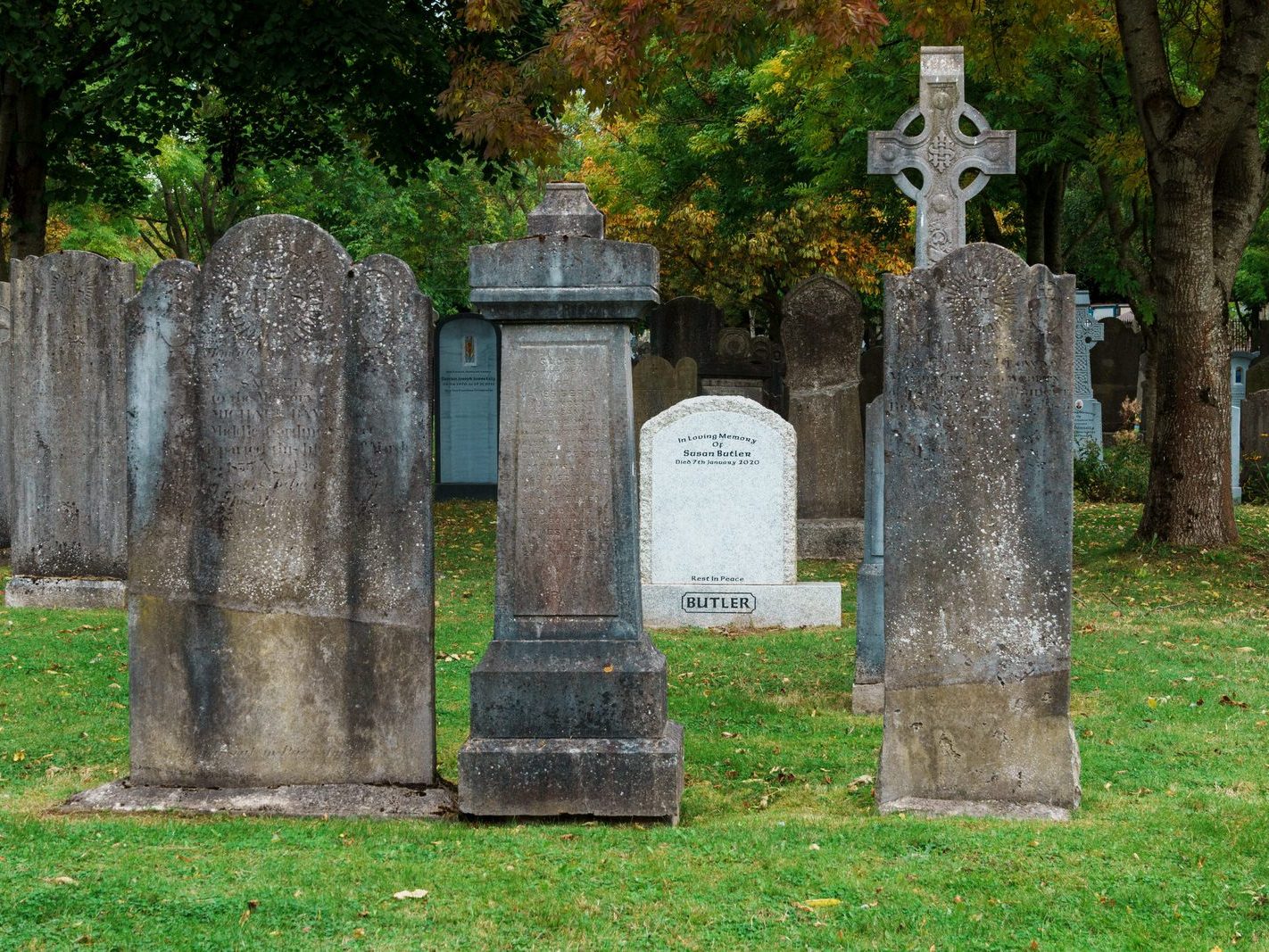 GLASNEVIN CEMETERY OCTOBER 2024 [THE GARDEN SECTION AND NEARBY]-242051-1