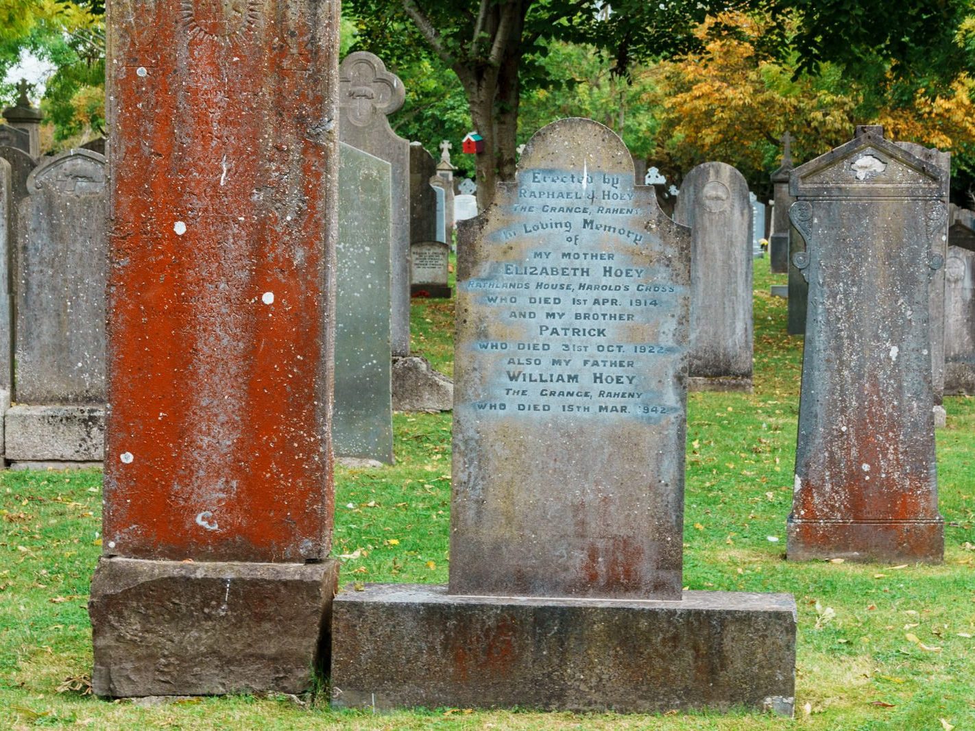 GLASNEVIN CEMETERY OCTOBER 2024 [THE GARDEN SECTION AND NEARBY]-242052-1