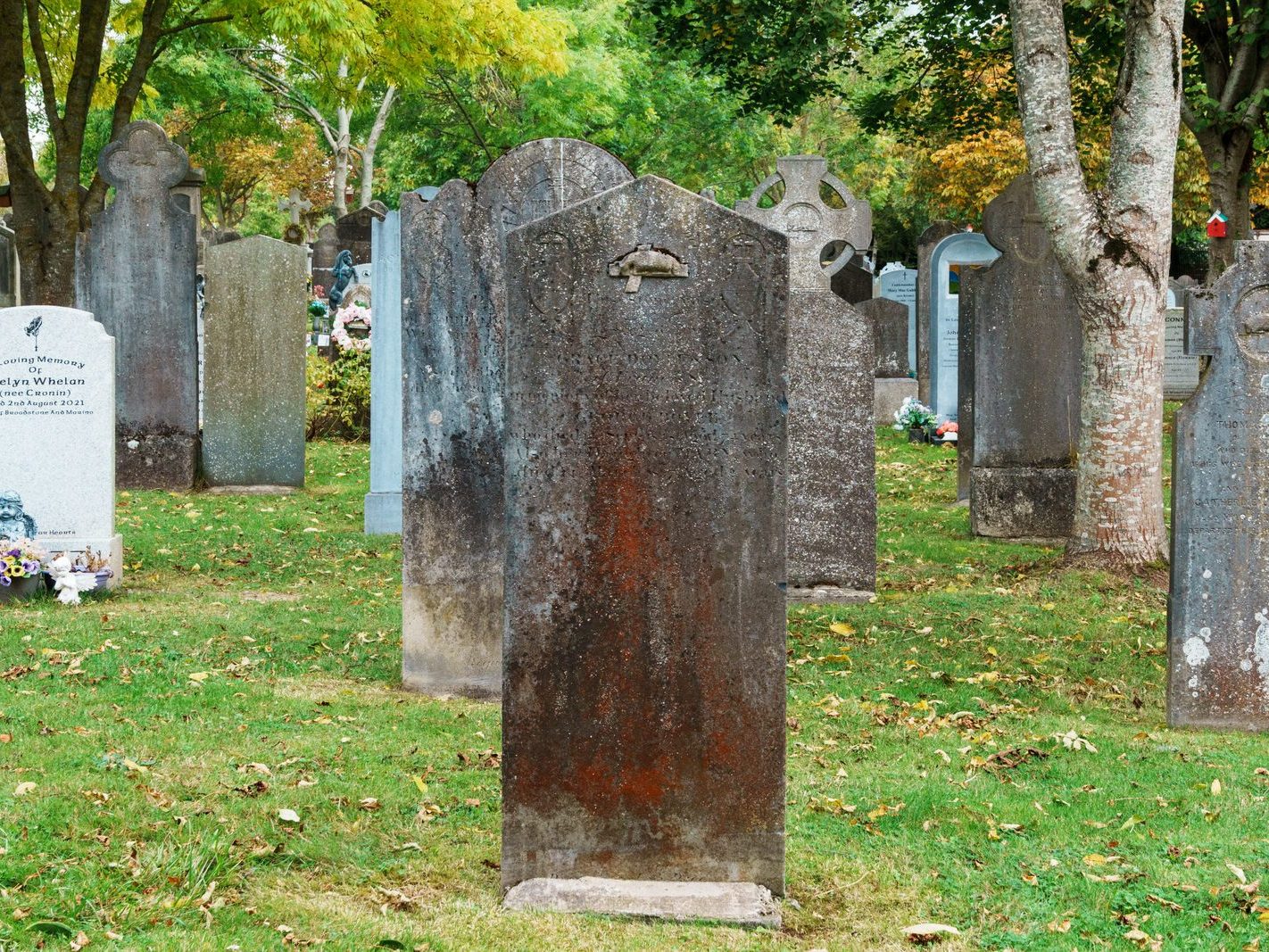 GLASNEVIN CEMETERY OCTOBER 2024 [THE GARDEN SECTION AND NEARBY]-242053-1