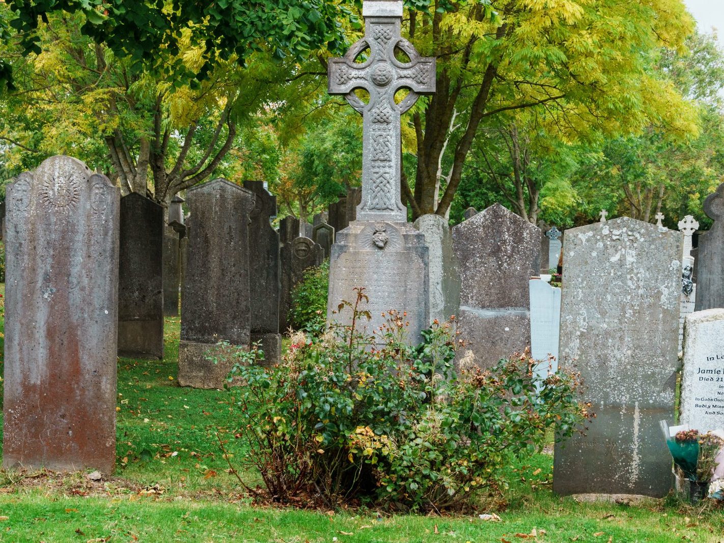 GLASNEVIN CEMETERY OCTOBER 2024 [THE GARDEN SECTION AND NEARBY]-242054-1