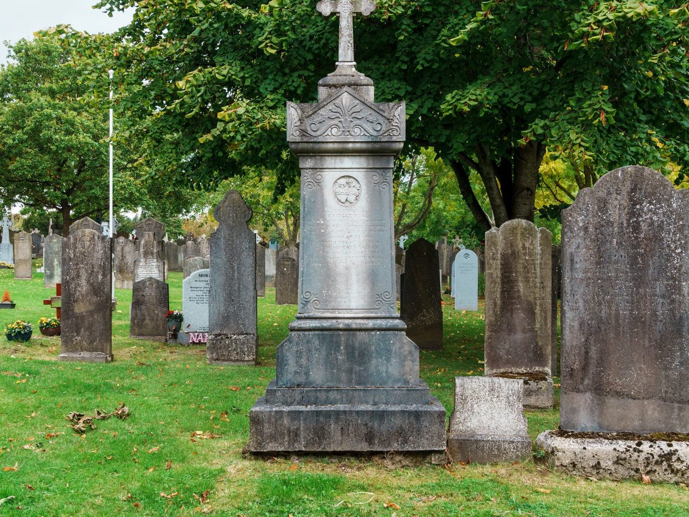 GLASNEVIN CEMETERY OCTOBER 2024 [THE GARDEN SECTION AND NEARBY]-242055-1