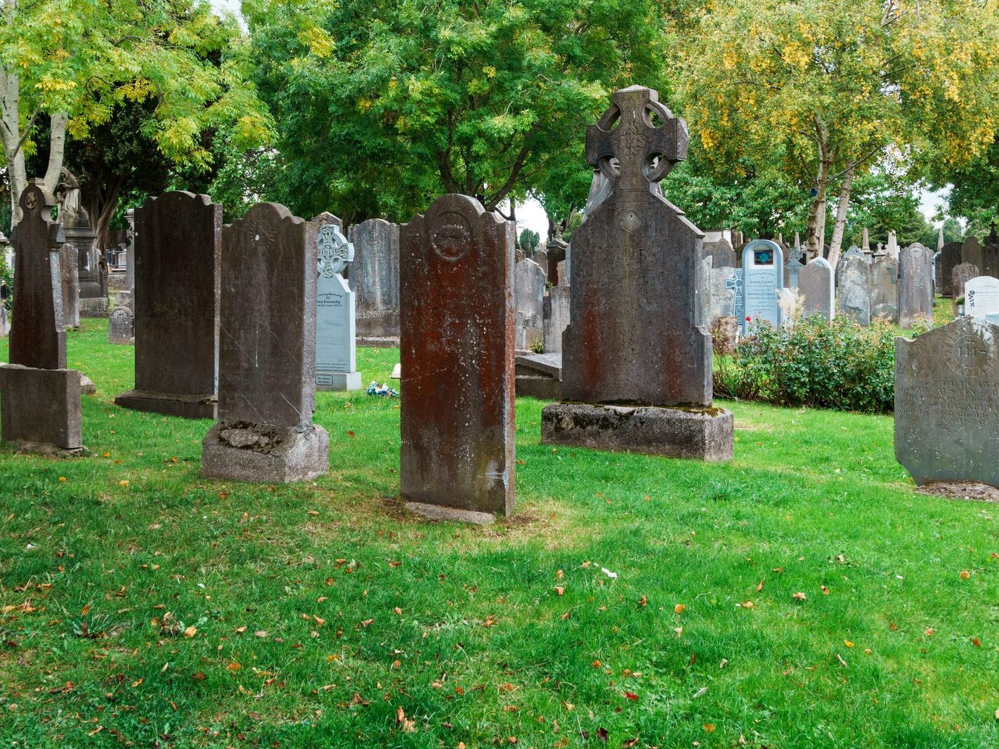 GLASNEVIN CEMETERY OCTOBER 2024 [THE GARDEN SECTION AND NEARBY]-242057-1