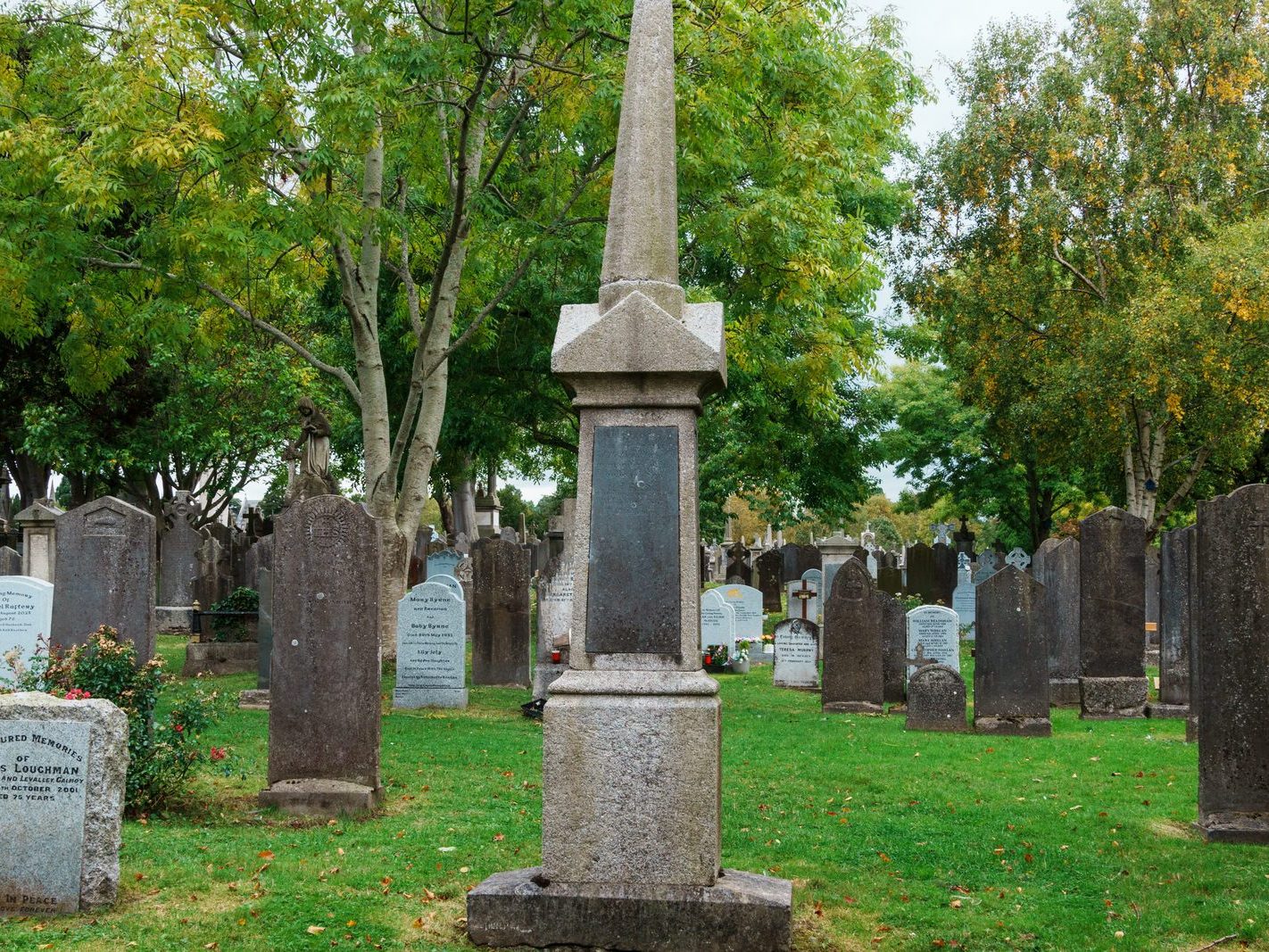 GLASNEVIN CEMETERY OCTOBER 2024 [THE GARDEN SECTION AND NEARBY]-242059-1