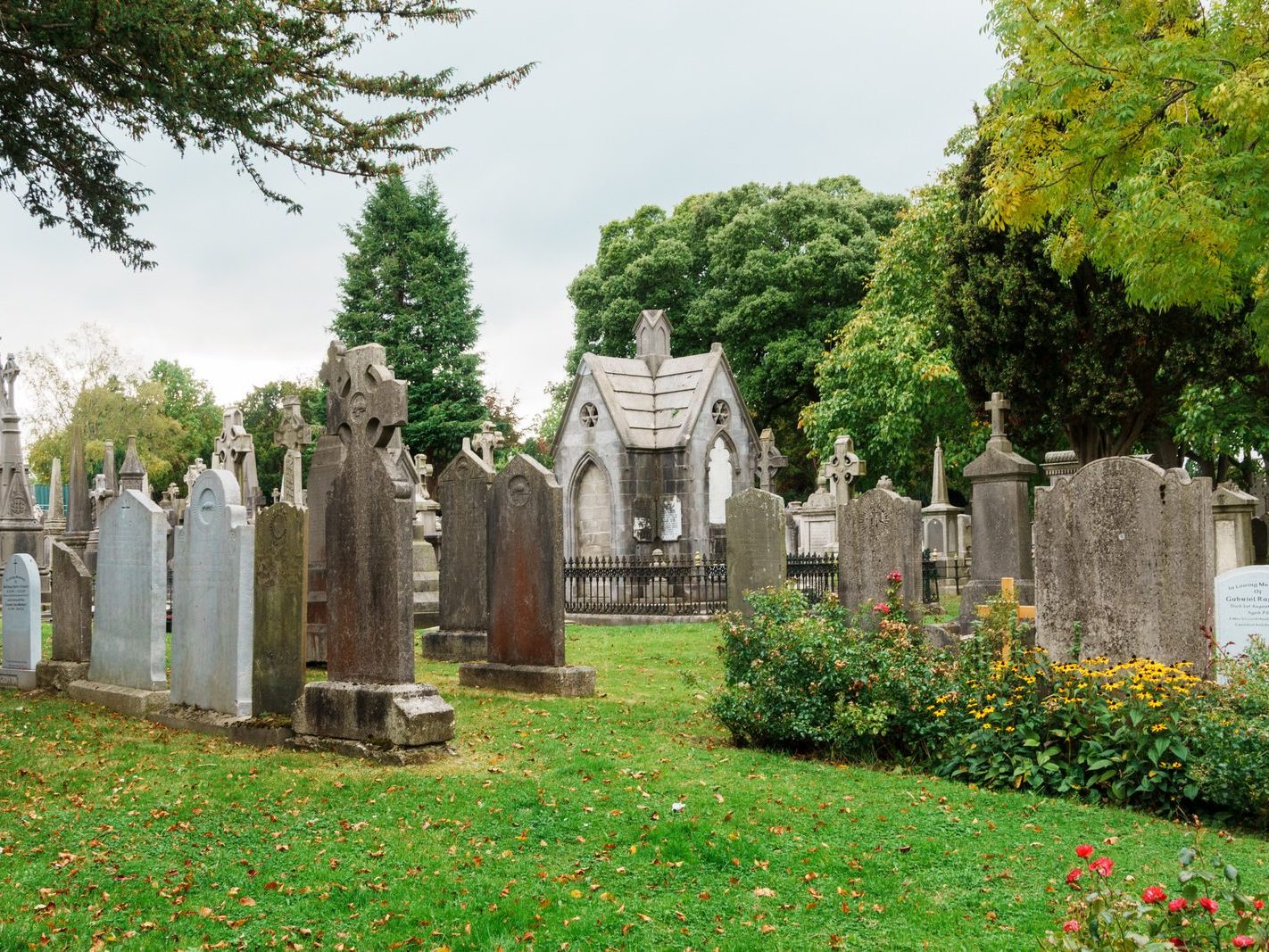 GLASNEVIN CEMETERY OCTOBER 2024 [THE GARDEN SECTION AND NEARBY]-242060-1