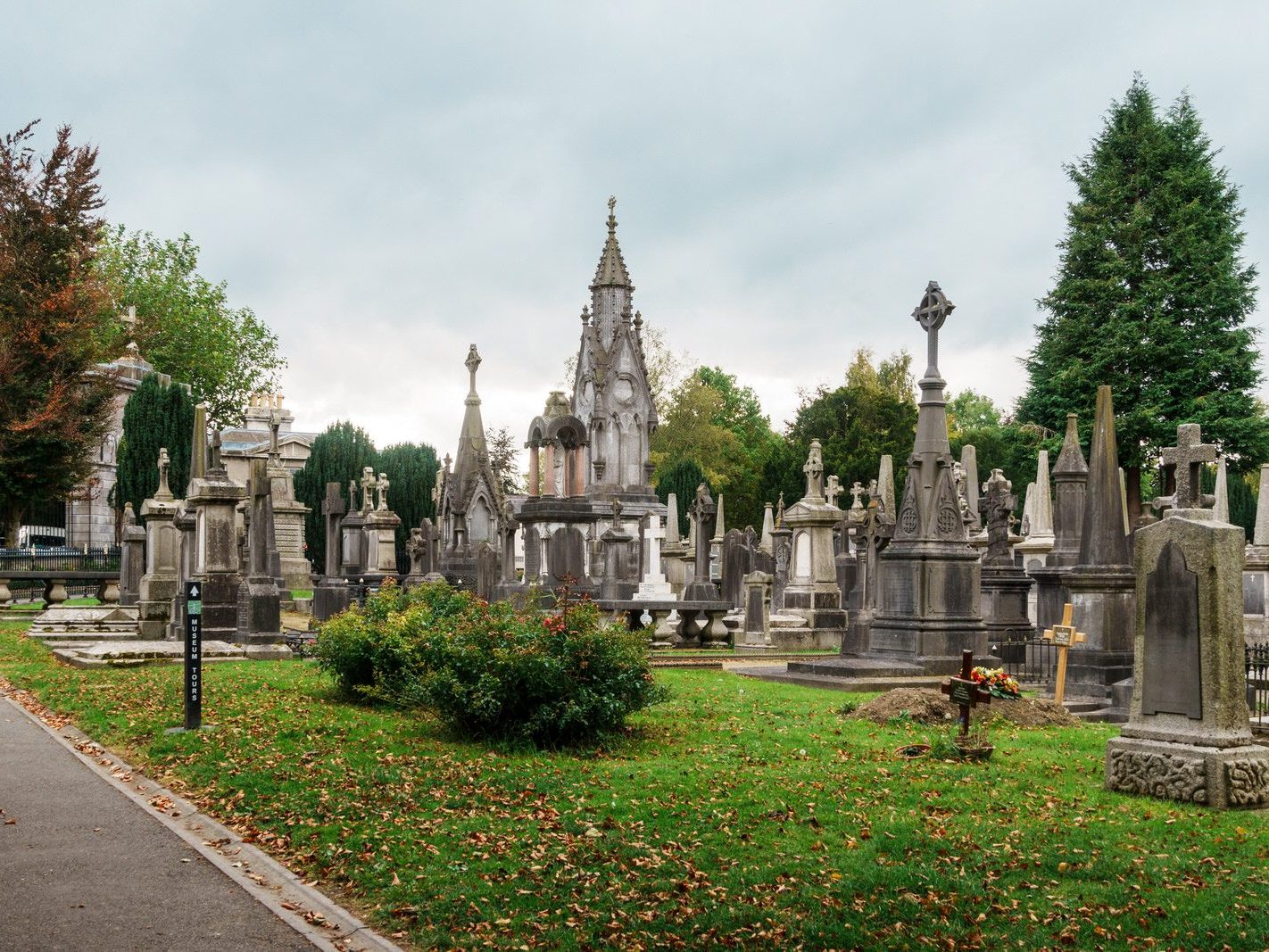 GLASNEVIN CEMETERY OCTOBER 2024 [THE GARDEN SECTION AND NEARBY]-242063-1