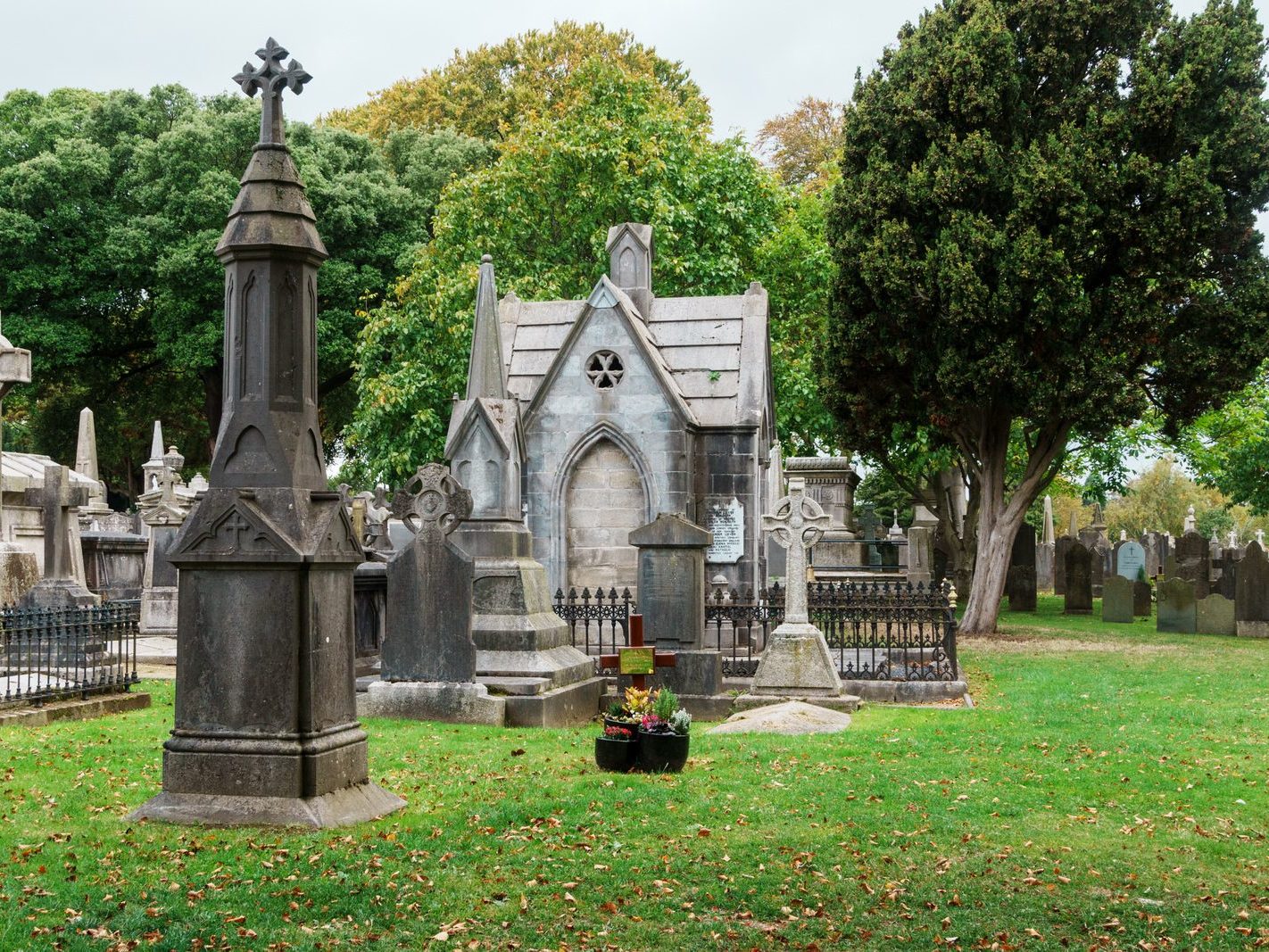 GLASNEVIN CEMETERY OCTOBER 2024 [THE GARDEN SECTION AND NEARBY]-242064-1