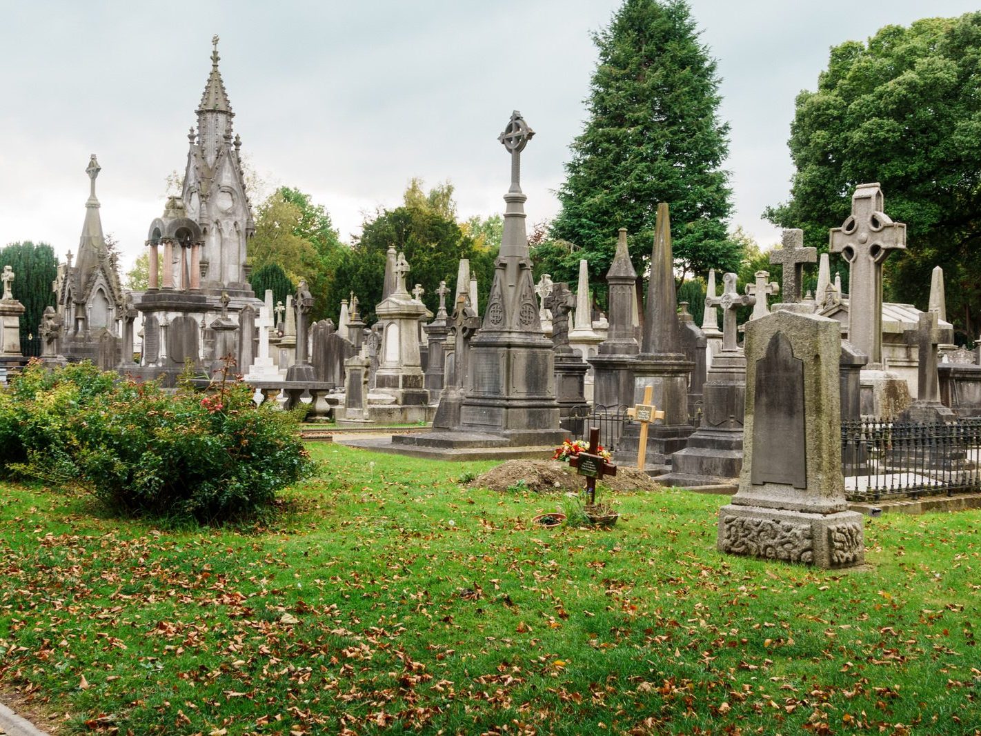 GLASNEVIN CEMETERY OCTOBER 2024 [THE GARDEN SECTION AND NEARBY]-242065-1