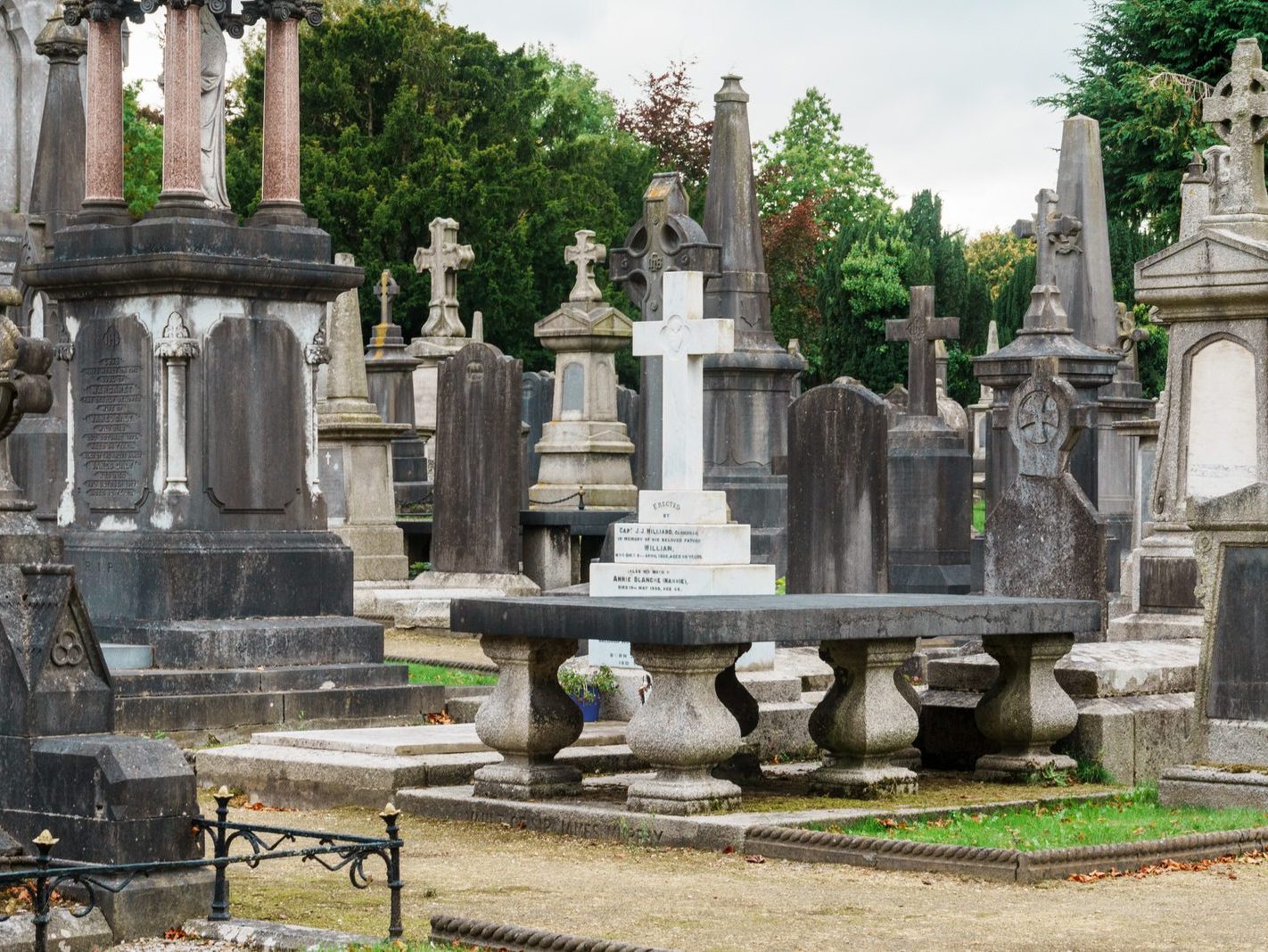 GLASNEVIN CEMETERY OCTOBER 2024 [THE GARDEN SECTION AND NEARBY]-242067-1