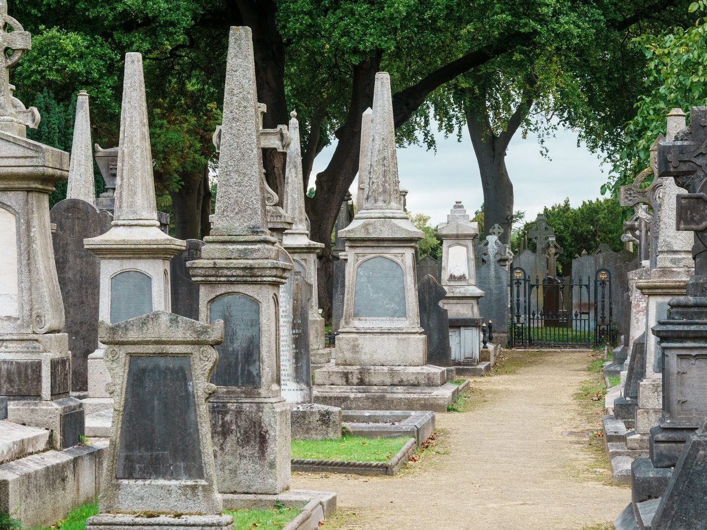 GLASNEVIN CEMETERY OCTOBER 2024 [THE GARDEN SECTION AND NEARBY]-242070-1