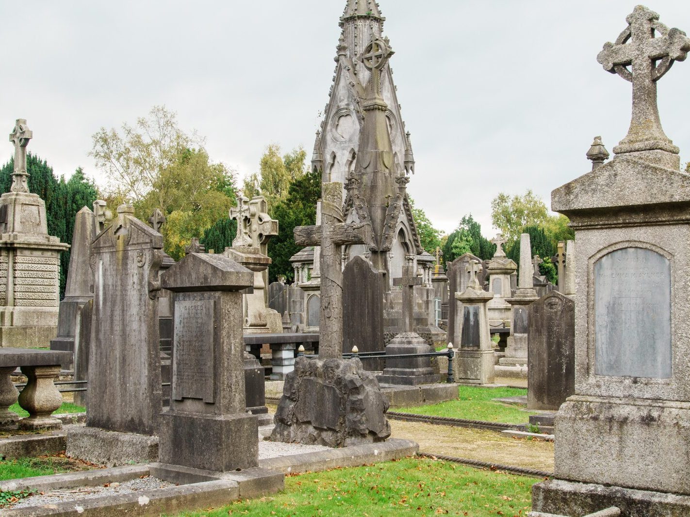 GLASNEVIN CEMETERY OCTOBER 2024 [THE GARDEN SECTION AND NEARBY]-242071-1