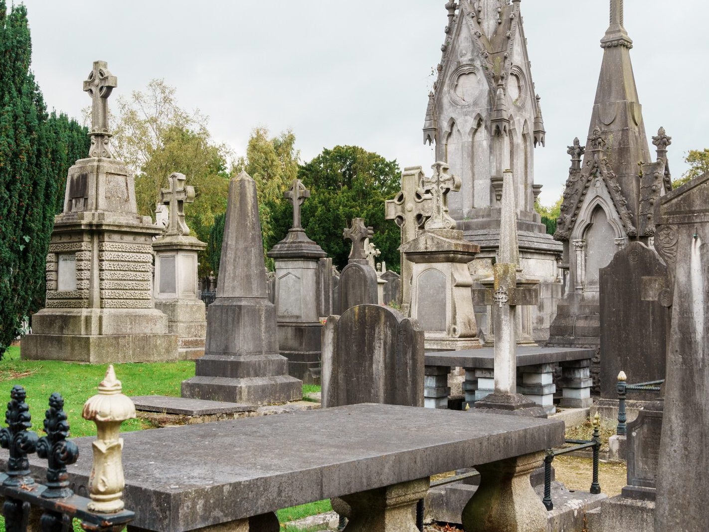 GLASNEVIN CEMETERY OCTOBER 2024 [THE GARDEN SECTION AND NEARBY]-242073-1