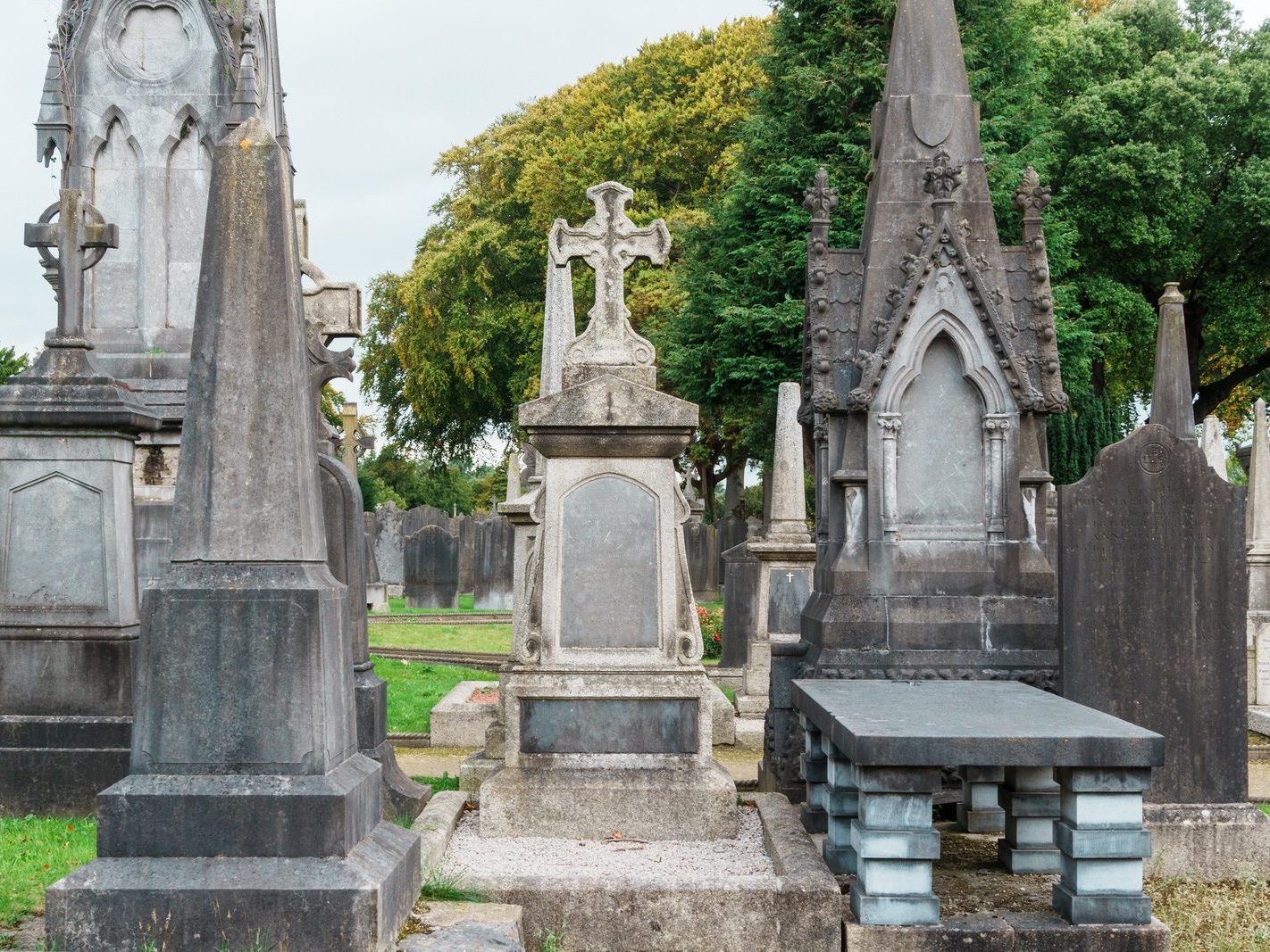 GLASNEVIN CEMETERY OCTOBER 2024 [THE GARDEN SECTION AND NEARBY]-242074-1