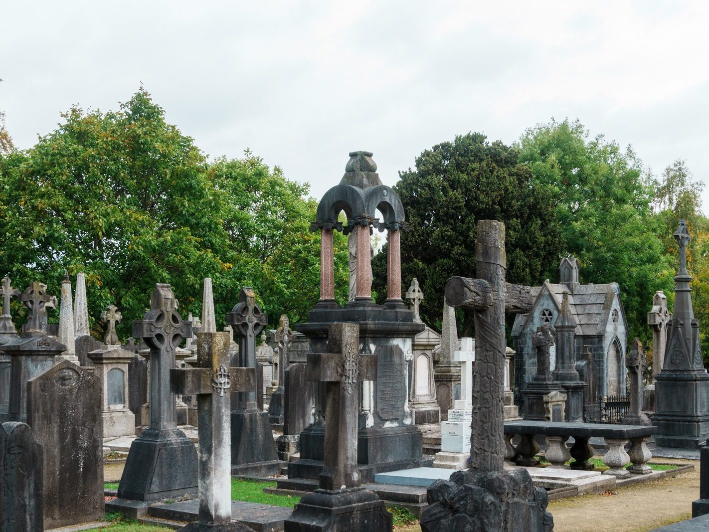 GLASNEVIN CEMETERY OCTOBER 2024 [THE GARDEN SECTION AND NEARBY]-242075-1